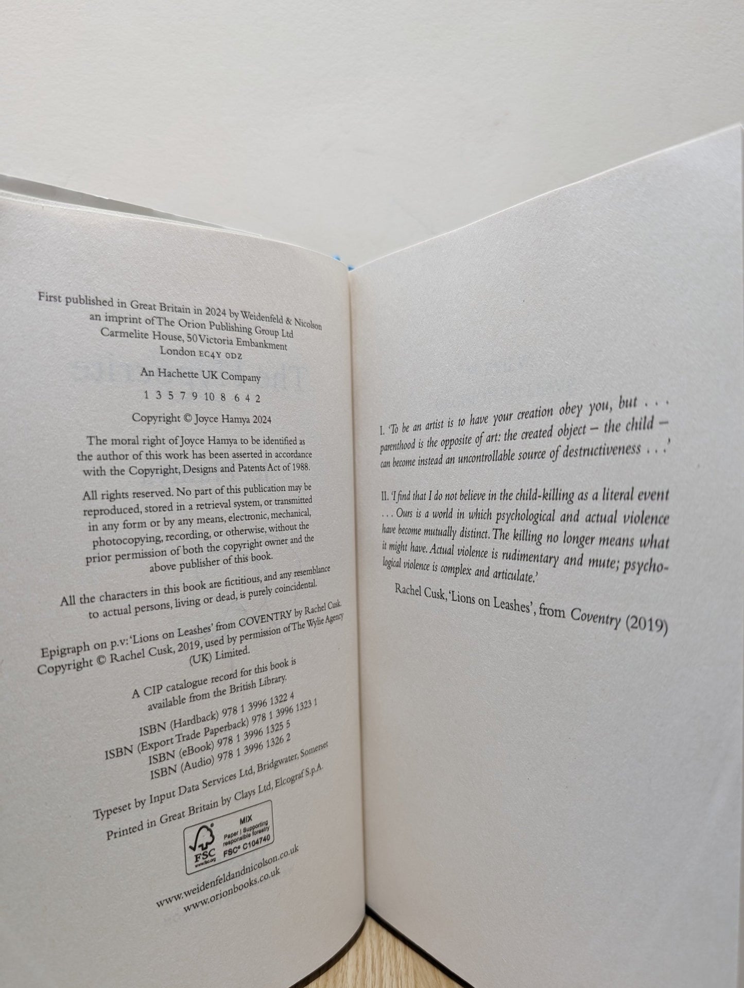 The Hypocrite by Jo Hamya (Signed First Edition) - Fialta Books