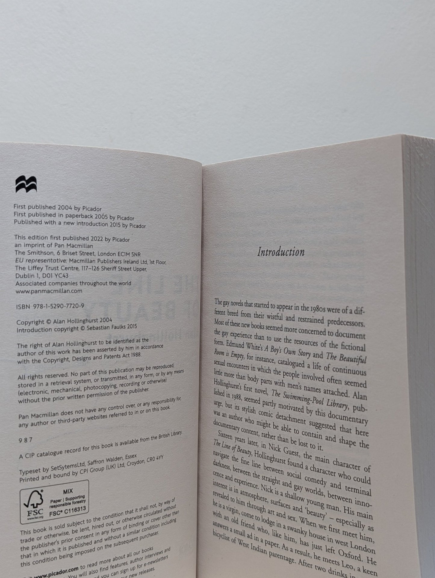 The Line of Beauty by Alan Hollinghurst (Signed Paperback Edition) - Fialta Books