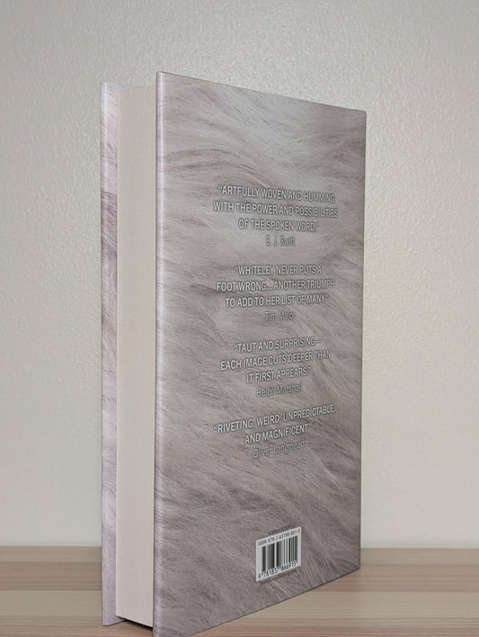 The Misheard World by Aliya Whiteley (First Edition) - Fialta Books