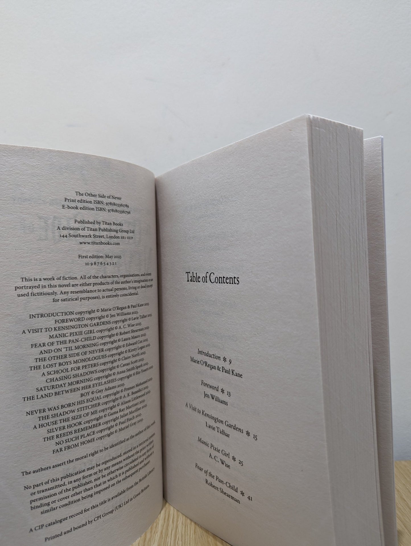 The Other Side of Never (Multi - Signed First Edition) - Fialta Books