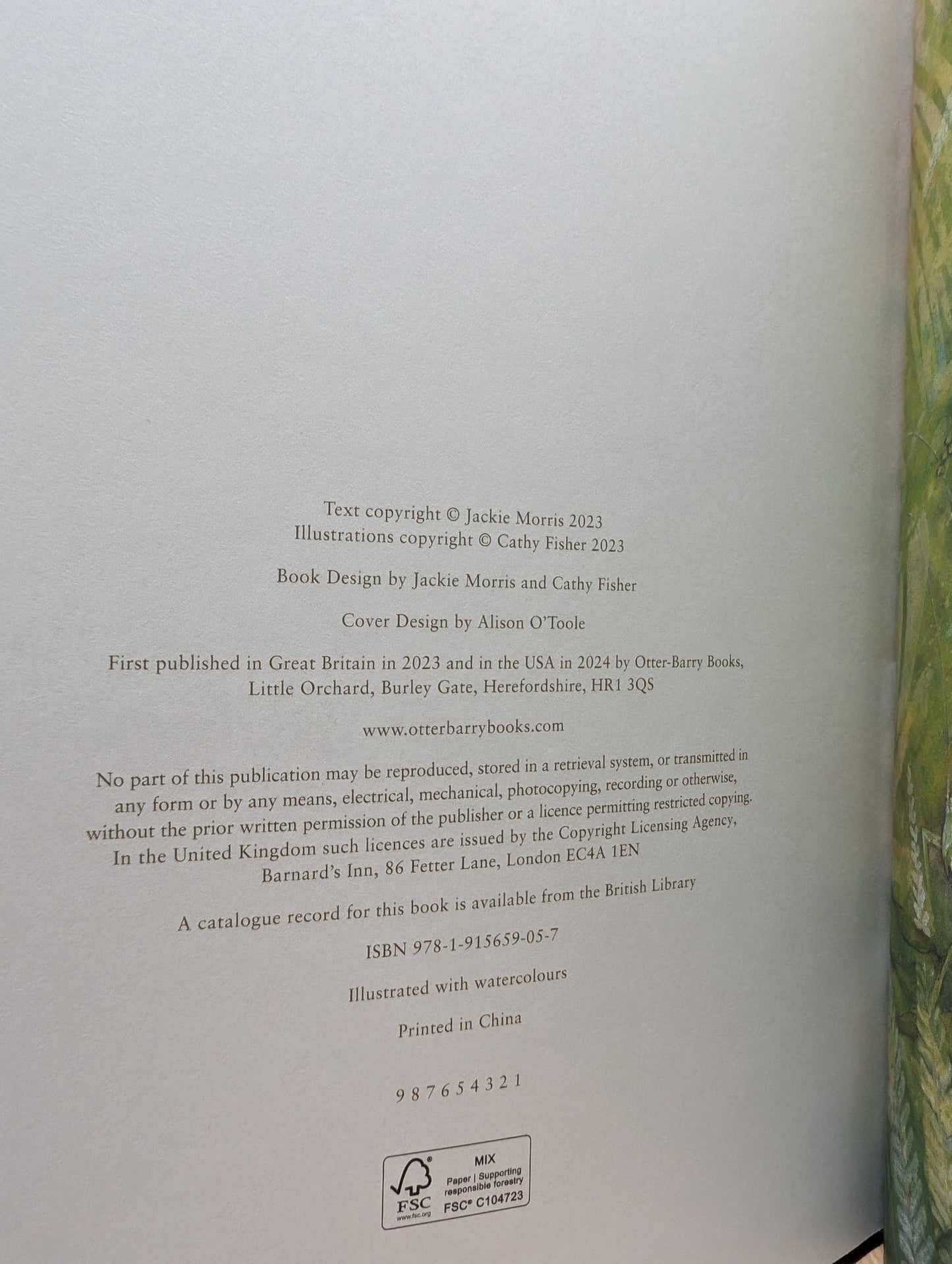 The Panda's Child by Jackie Morris (Signed First Edition) - Fialta Books