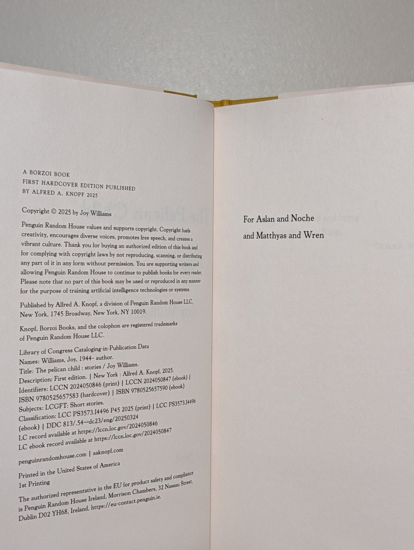 The Pelican Child: Stories by Joy Williams (Signed First Edition) - Fialta Books