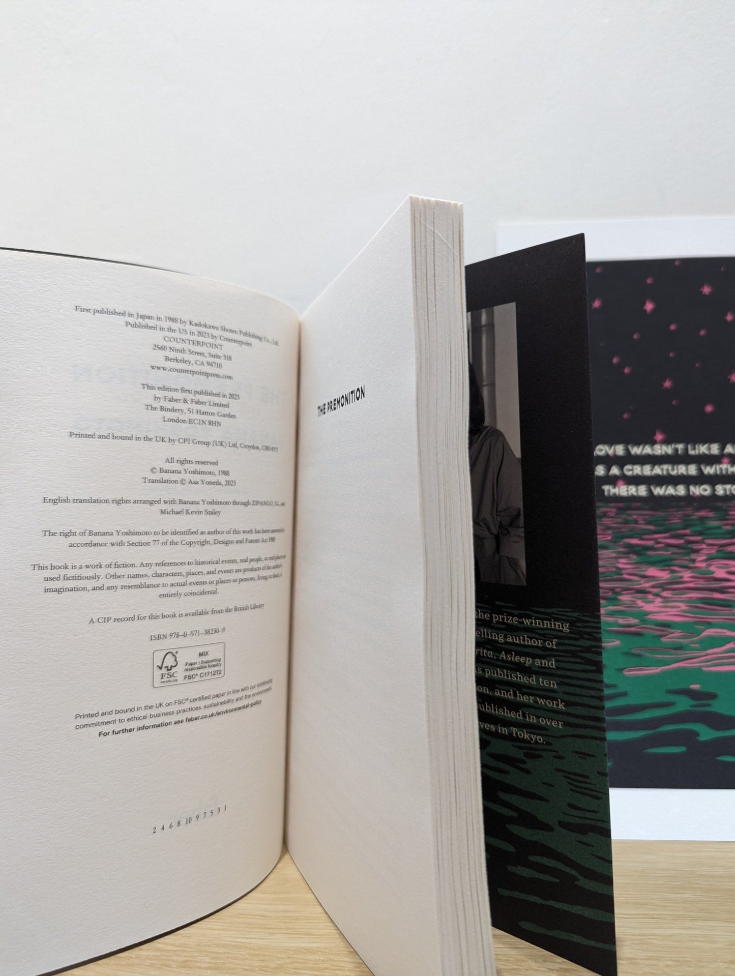 The Premonition by Banana Yoshimoto (First Edition with limited print) - Fialta Books