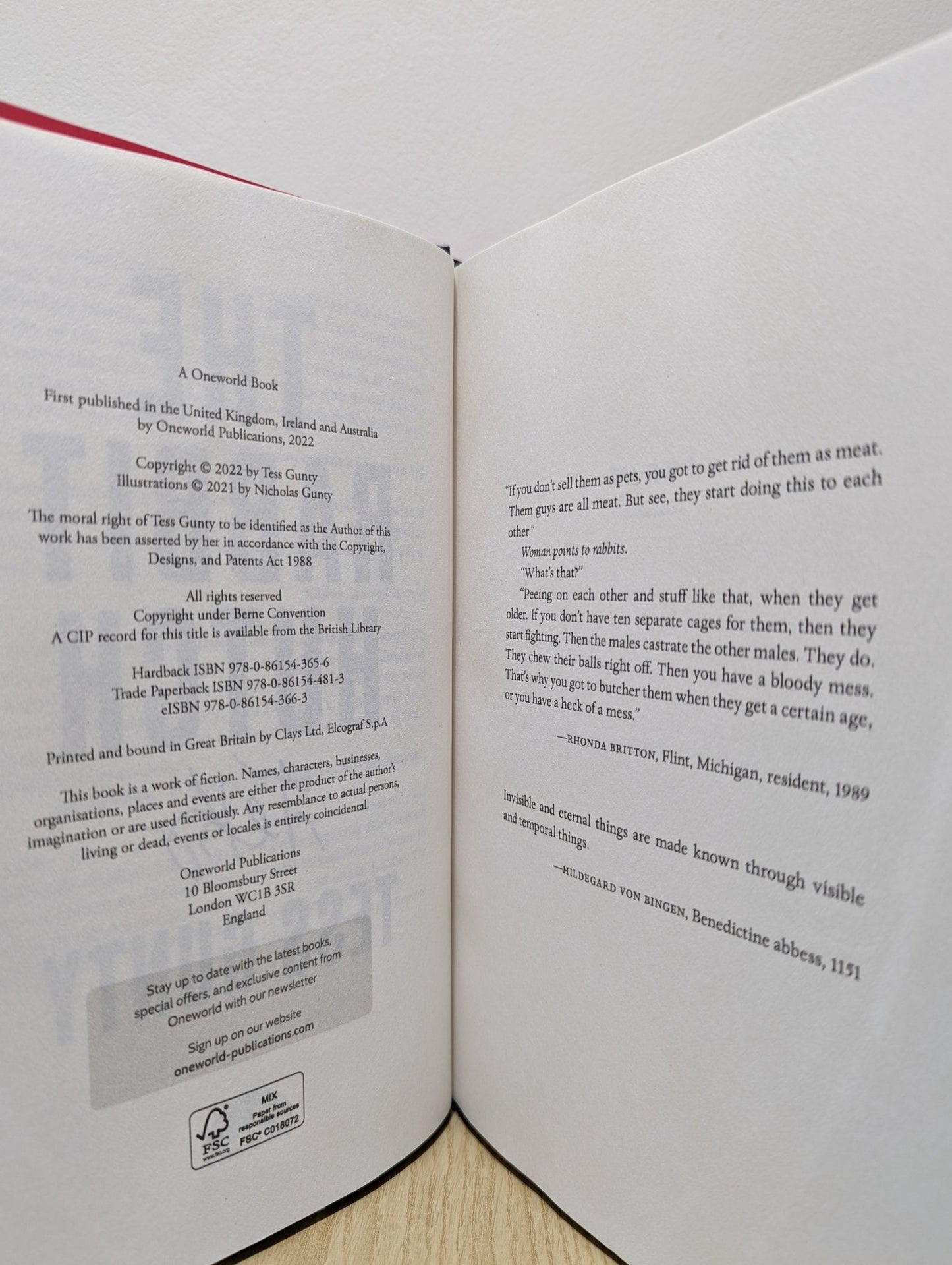 The Rabbit Hutch by Tess Gunty (Signed First Edition) - Fialta Books