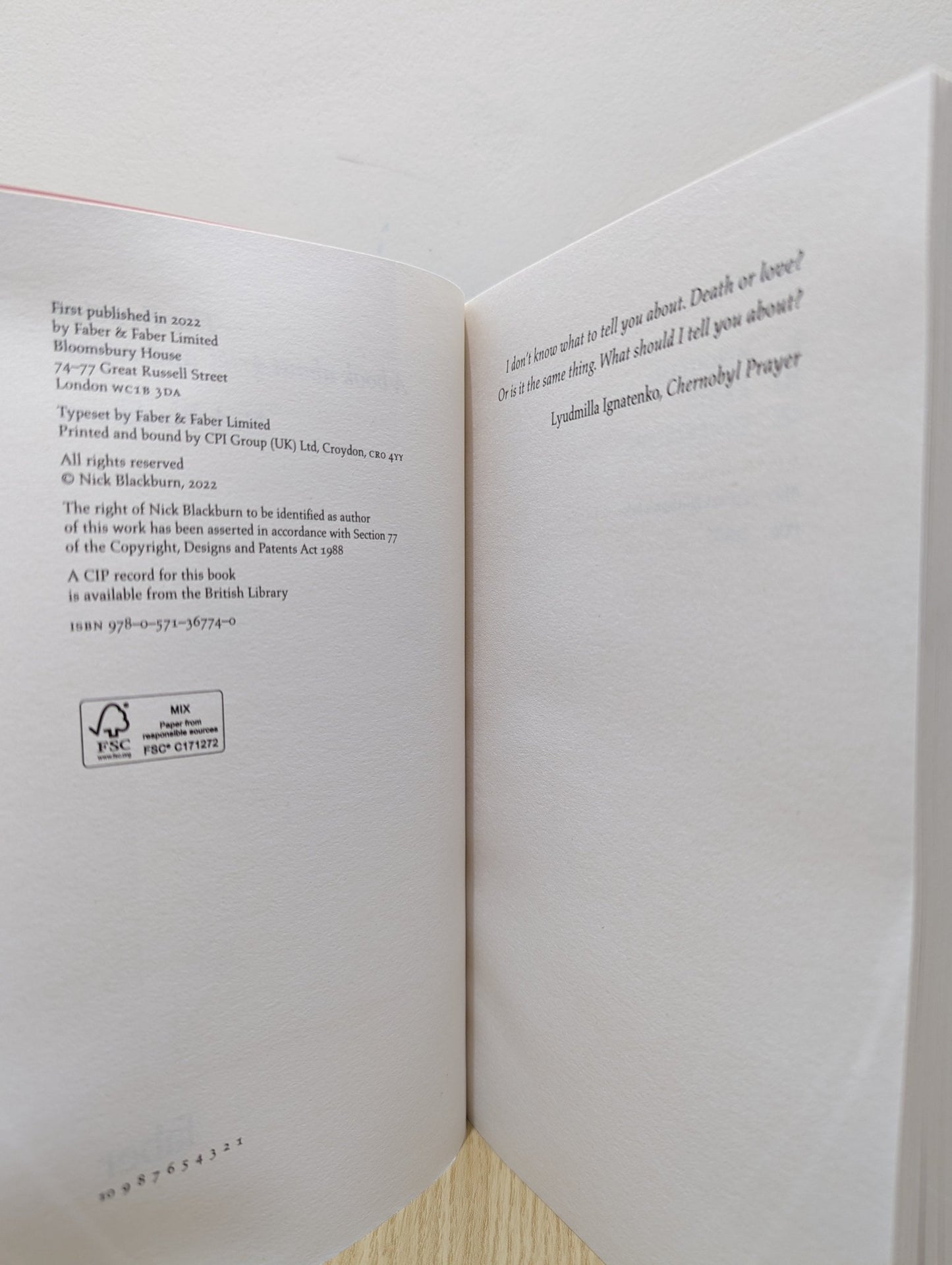 The Reactor: A Book about Grief and Repair by Nick Blackburn (Signed First Edition) - Fialta Books