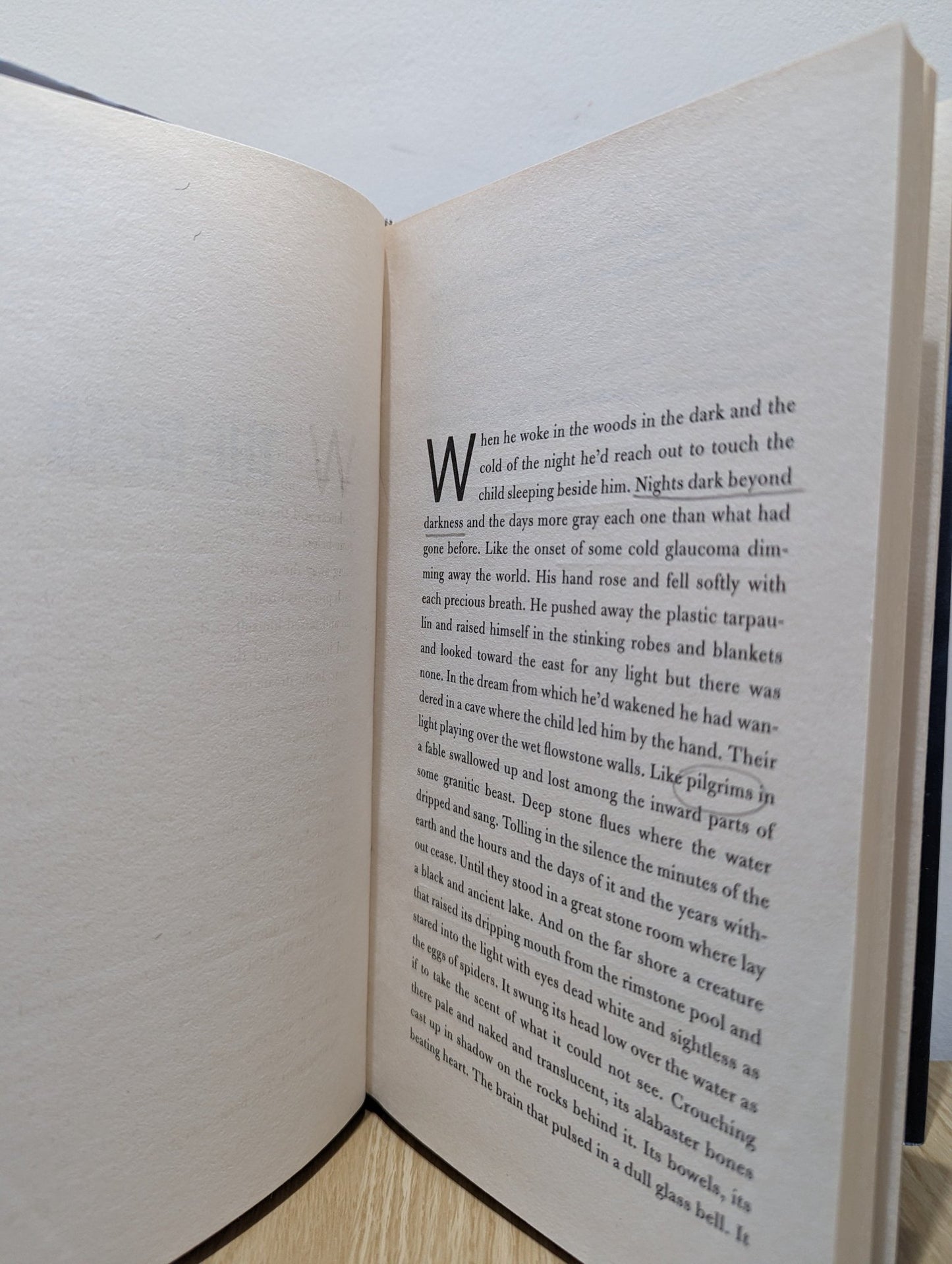 The Road by Cormac McCarthy (First Edition) - Fialta Books