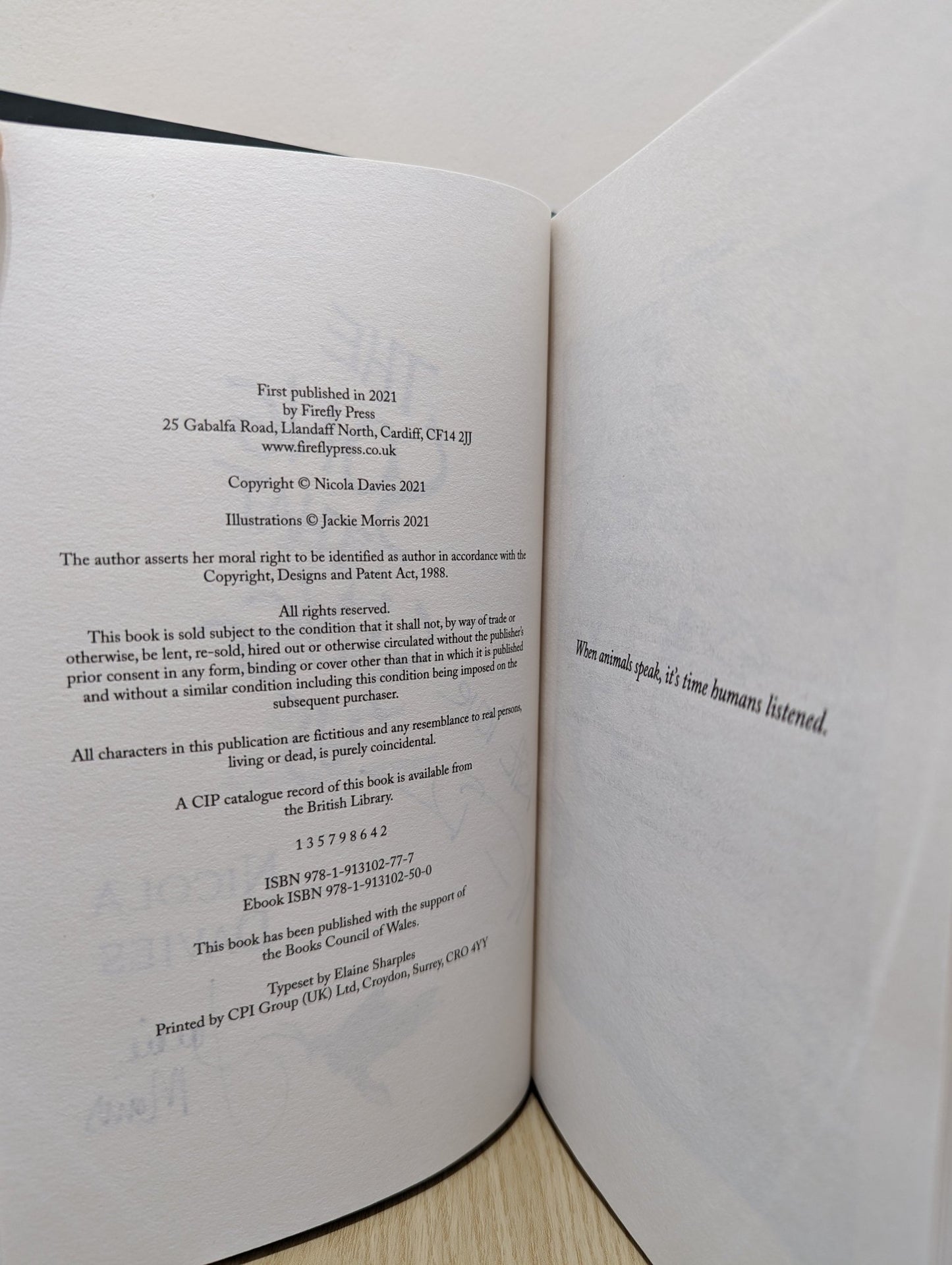 The Song that Sings Us by Nicola Davies (Signed First Edition) - Fialta Books