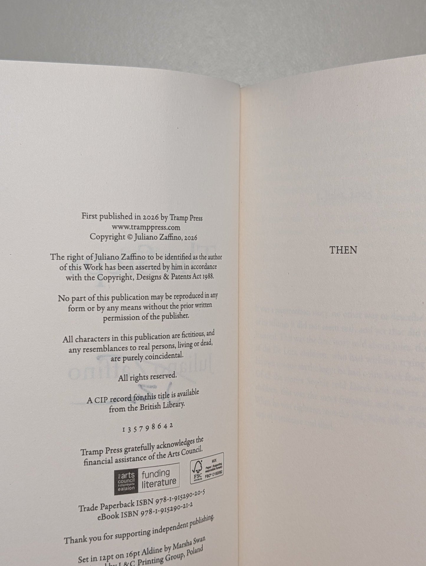 The Steps by Juliano Zaffino (Signed First Edition) - Fialta Books