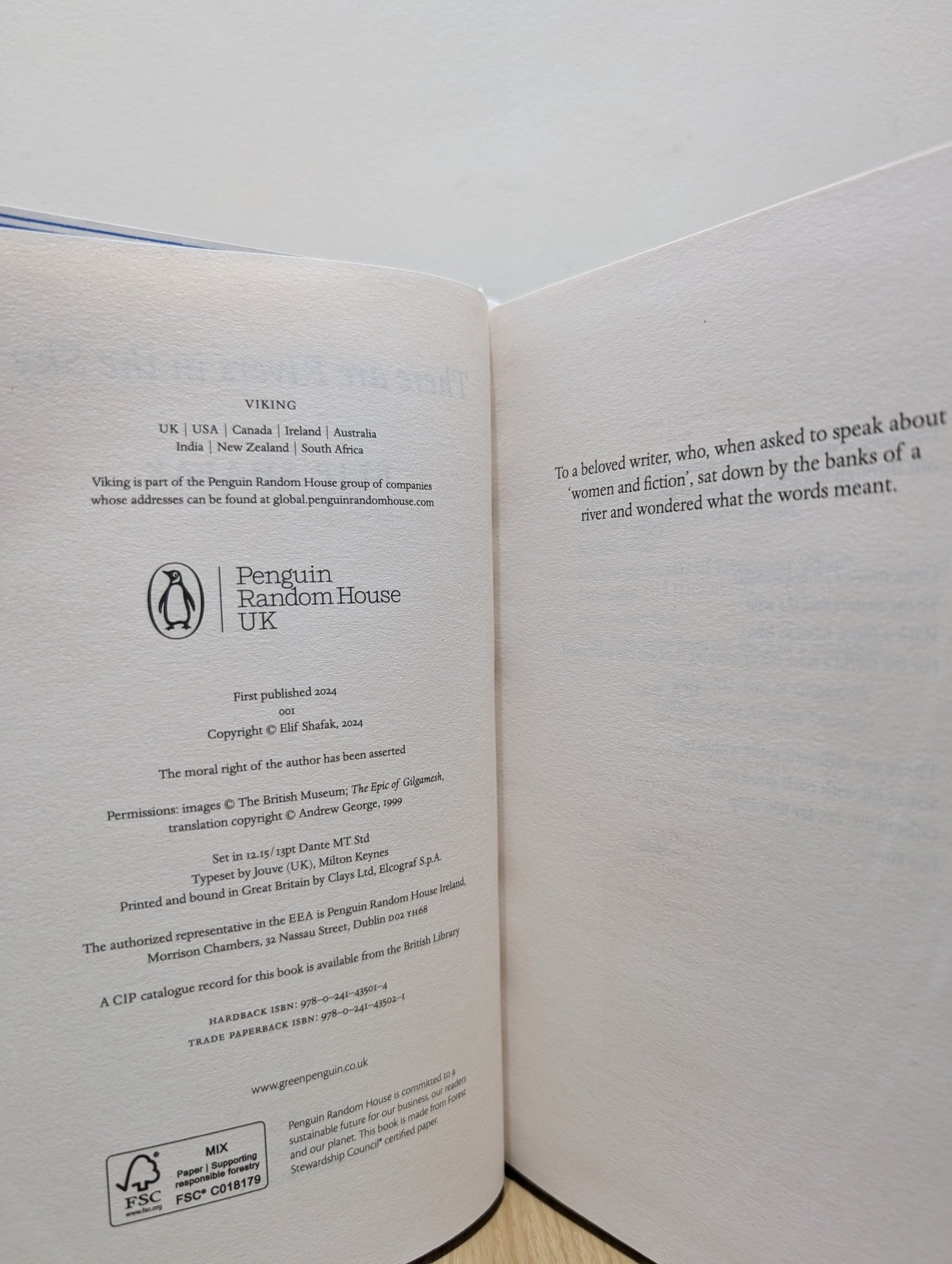 There are Rivers in the Sky by Elif Shafak (Signed First Edition) - Fialta Books