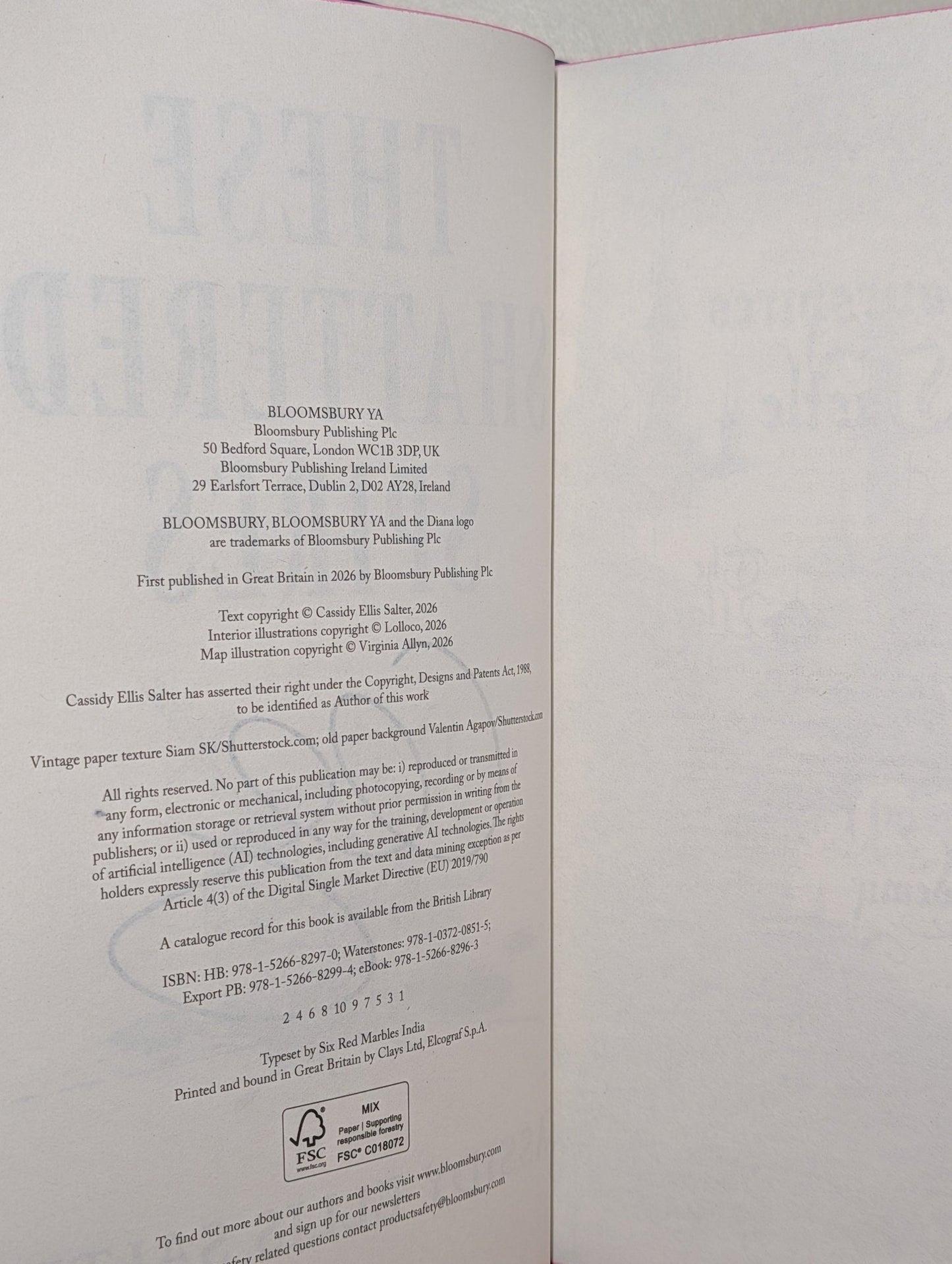 These Shattered Spires by Cassidy Ellis Salter (Signed First Edition with sprayed edges) - Fialta Books