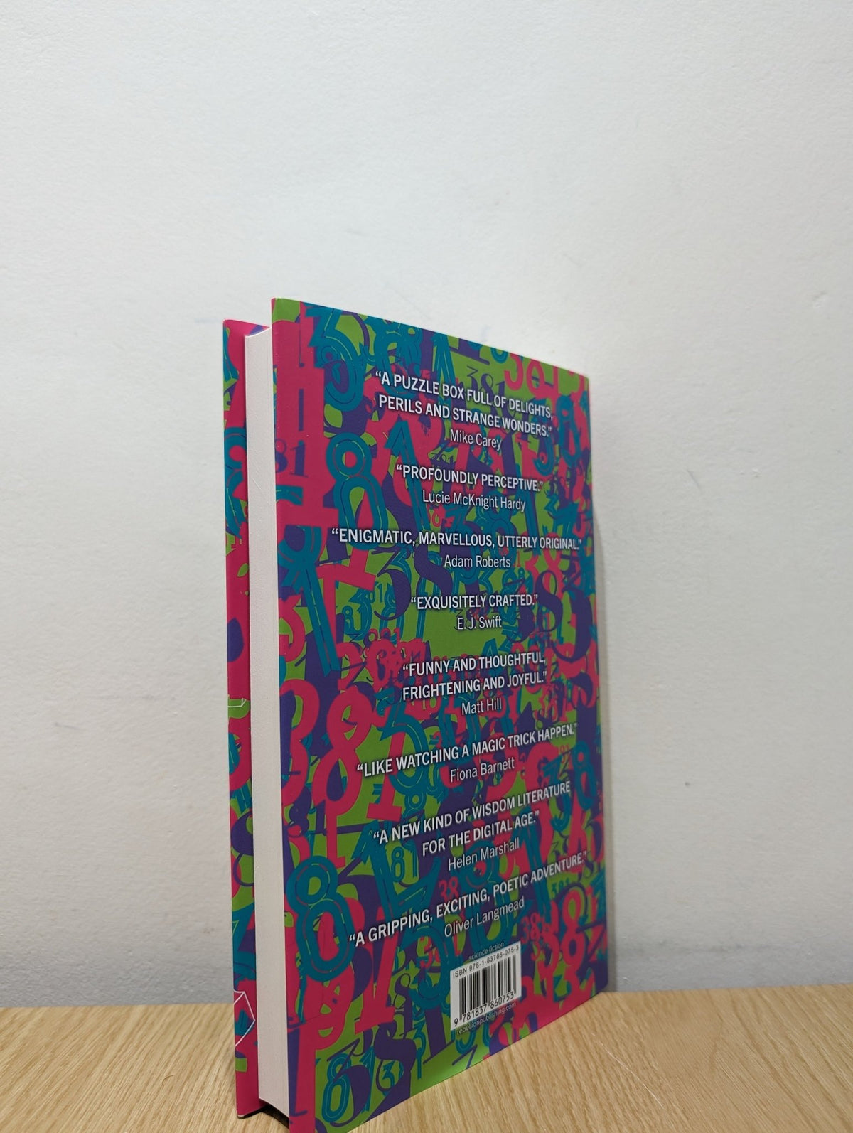 Three Eight One by Aliya Whiteley (Signed First Edition) - Fialta Books