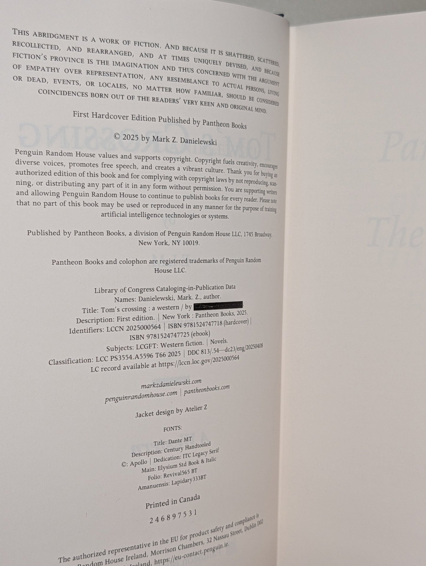 Tom's Crossing by Mark Z. Danielewski (First Edition) - Fialta Books