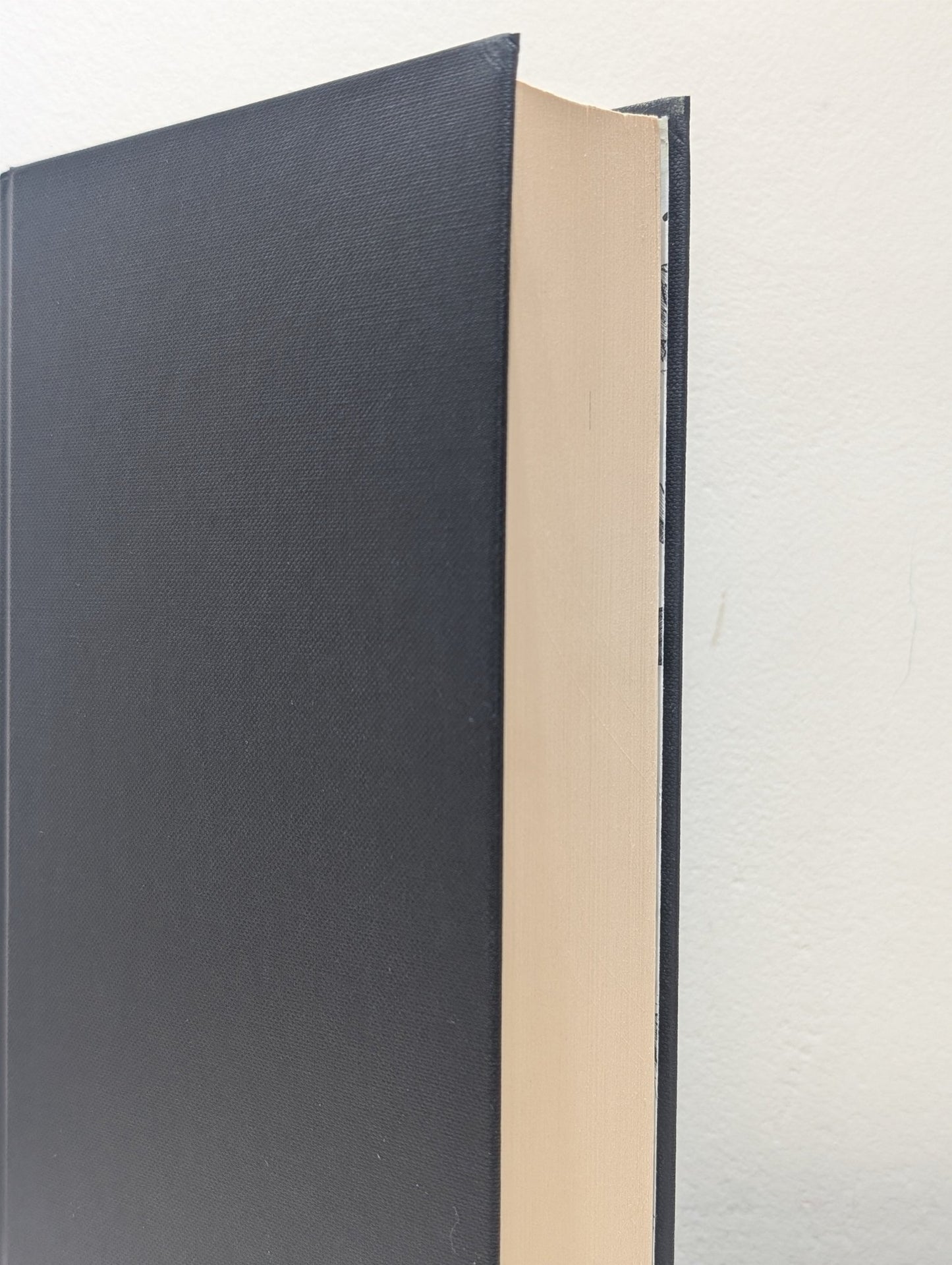 Un Lun Dun by China Mieville (Signed) - Fialta Books