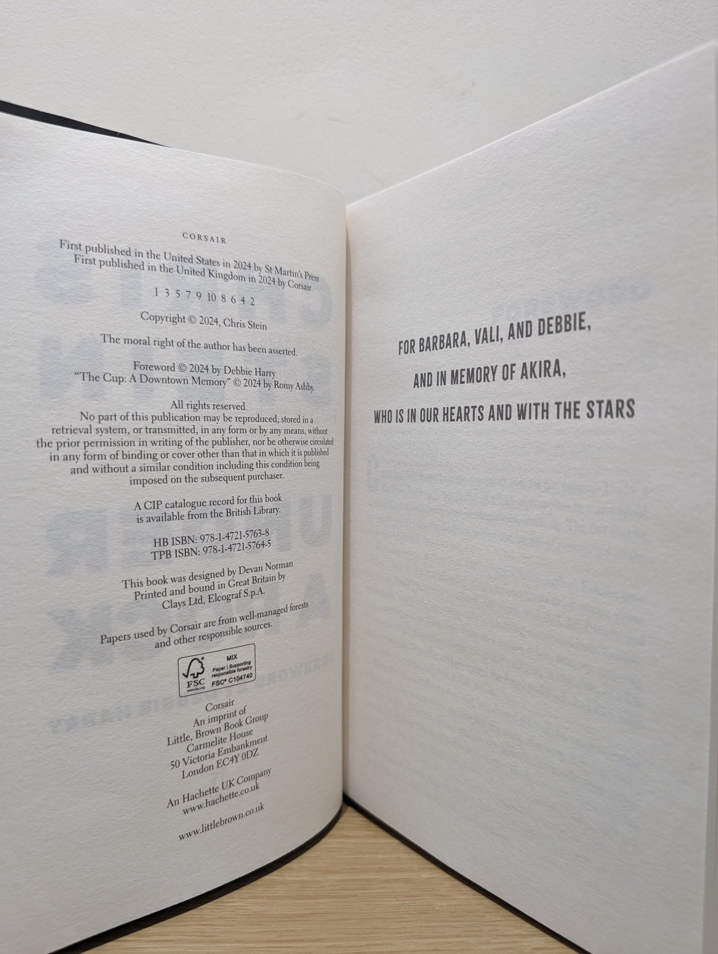 Under A Rock by Chris Stein (Signed First Edition) - Fialta Books