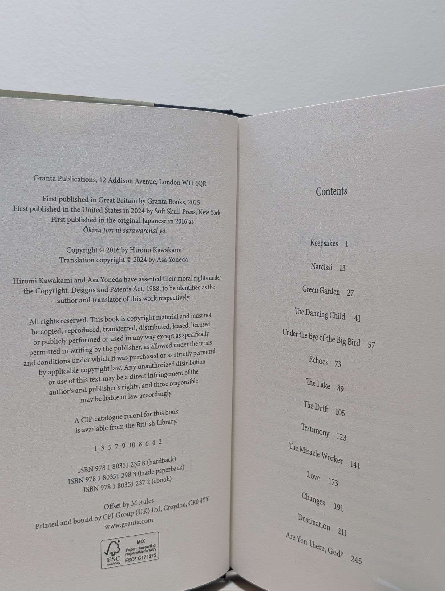 Under the Eye of the Big Bird by Hiromi Kawakami (First Edition) - Fialta Books