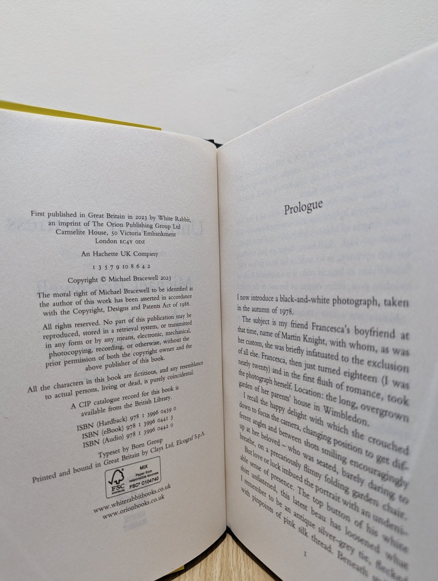 Unfinished Business by Michael Bracewell (Signed First Edition) - Fialta Books