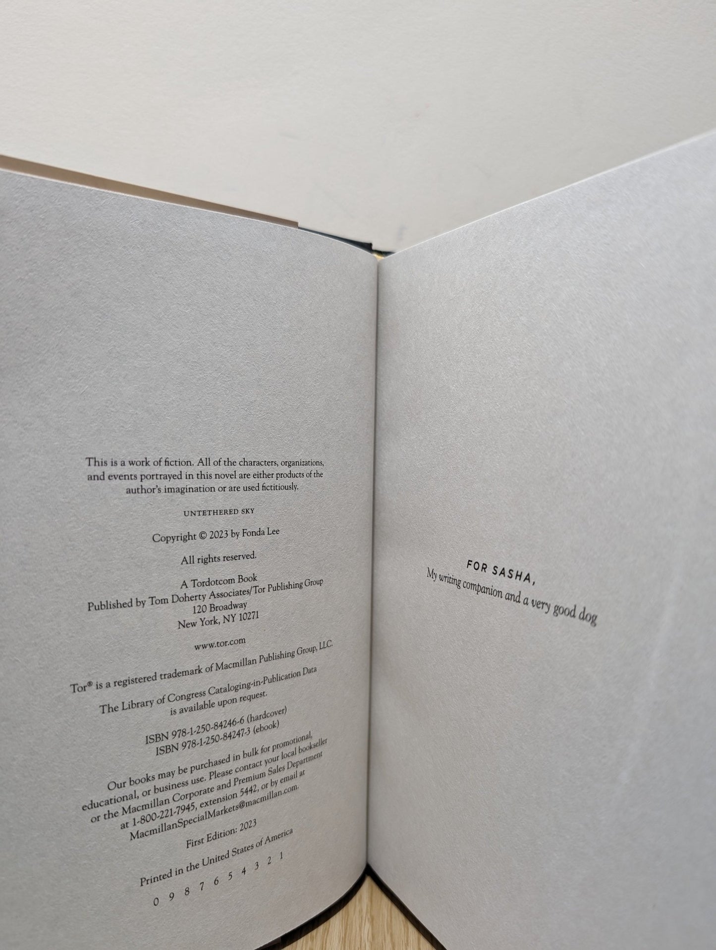 Untethered Sky by Fonda Lee (First Edition) - Fialta Books