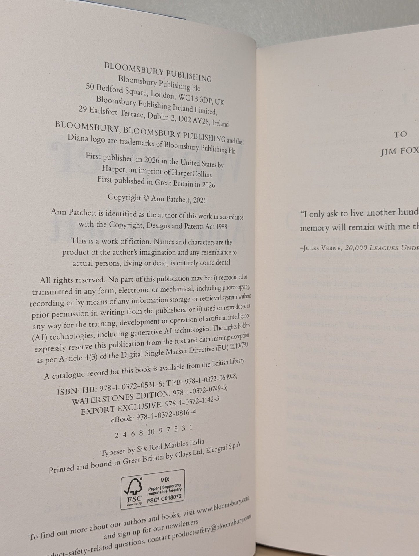 Whistler by Ann Patchett (Signed First Edition) - Fialta Books