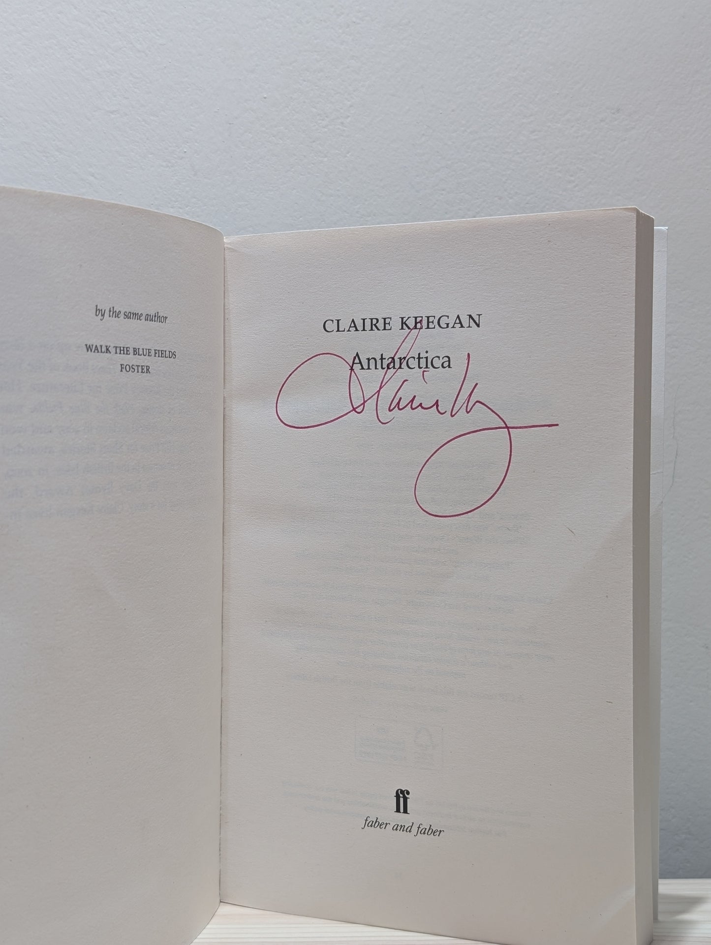Antarctica by Claire Keegan (Signed)