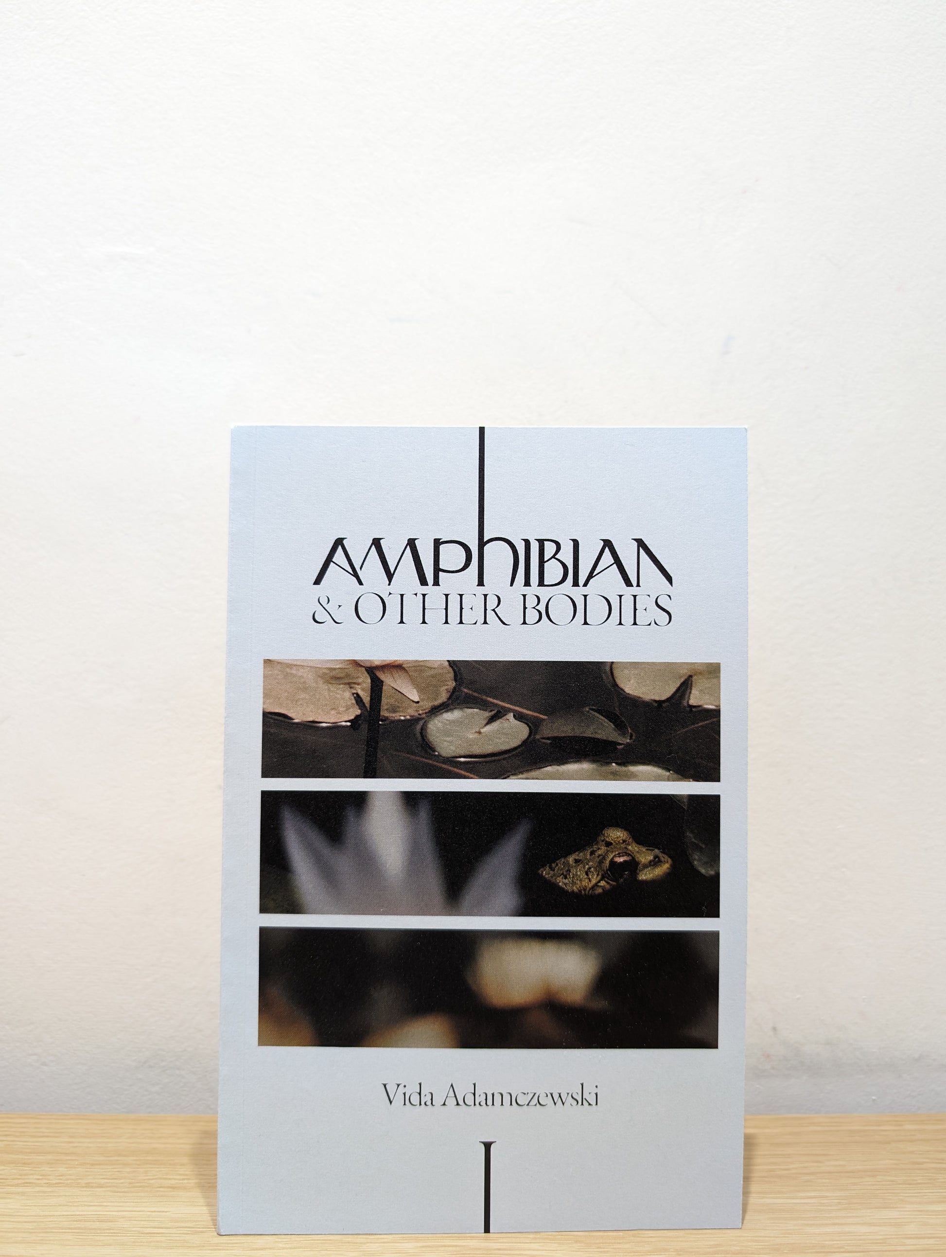 Amphibian and Other Bodies