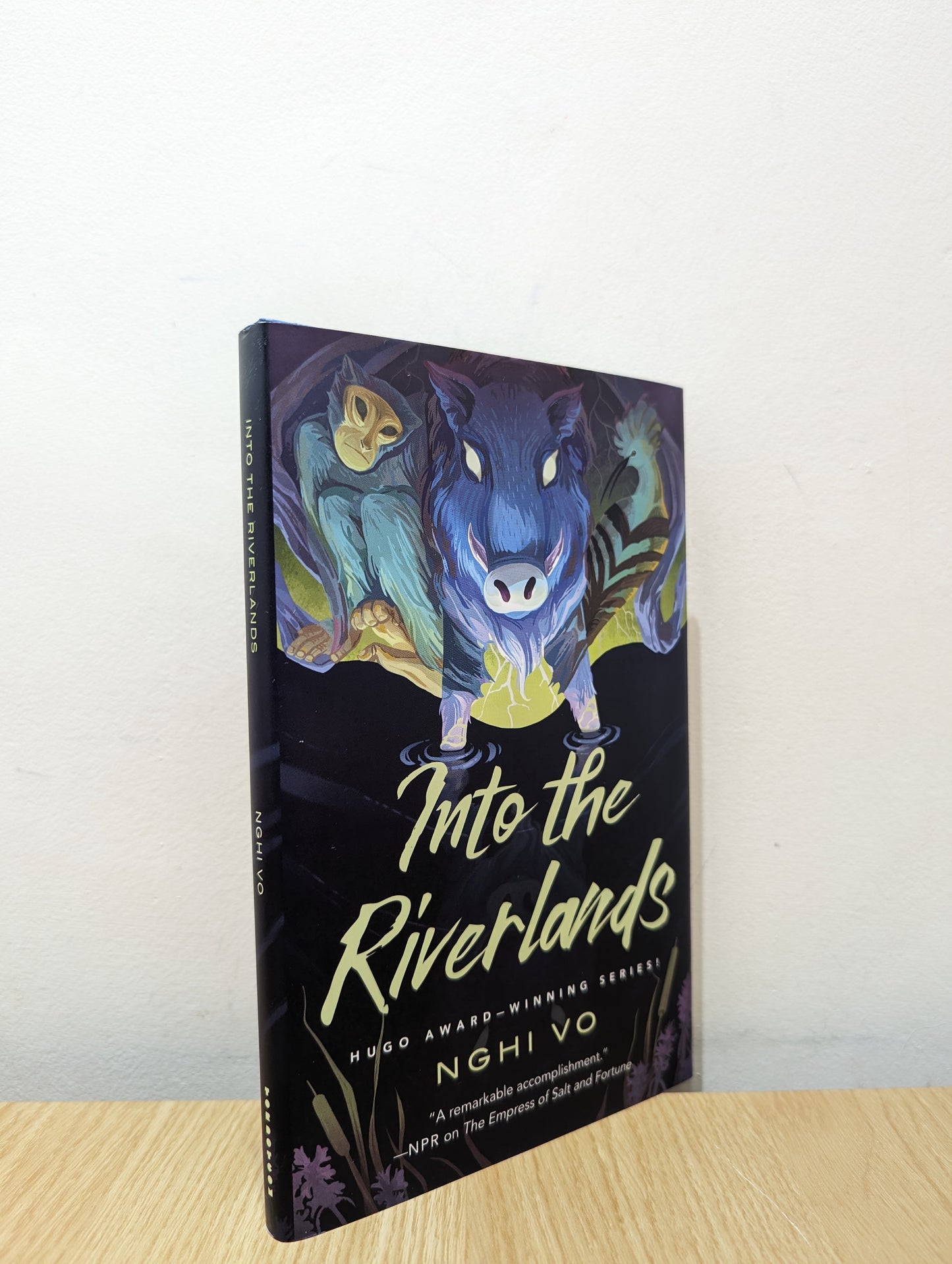 Into the Riverlands (The Singing Hills Cycle, 3) (First Edition)