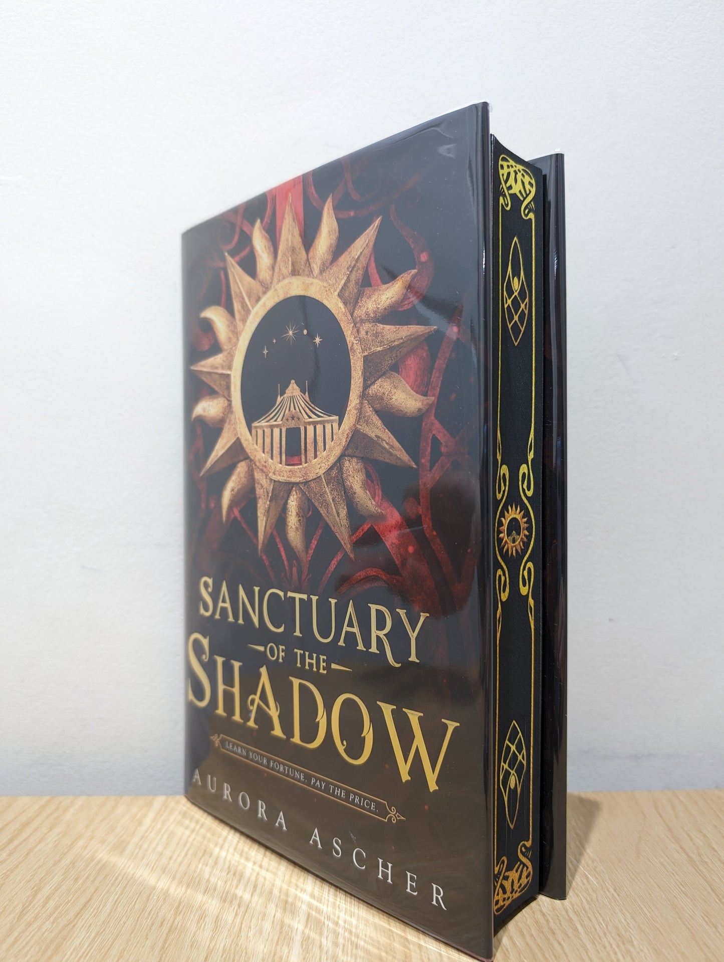 Sanctuary of the Shadow: The most gripping and epic enemies-to-lovers fantasy romance of 2024 (Elemental Emergence 1) (Signed Numbered First Edition with sprayed edges)