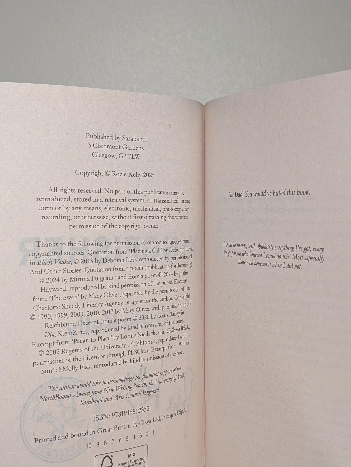 Kingfisher by Rozie Kelly (Signed Stamped First Edition)