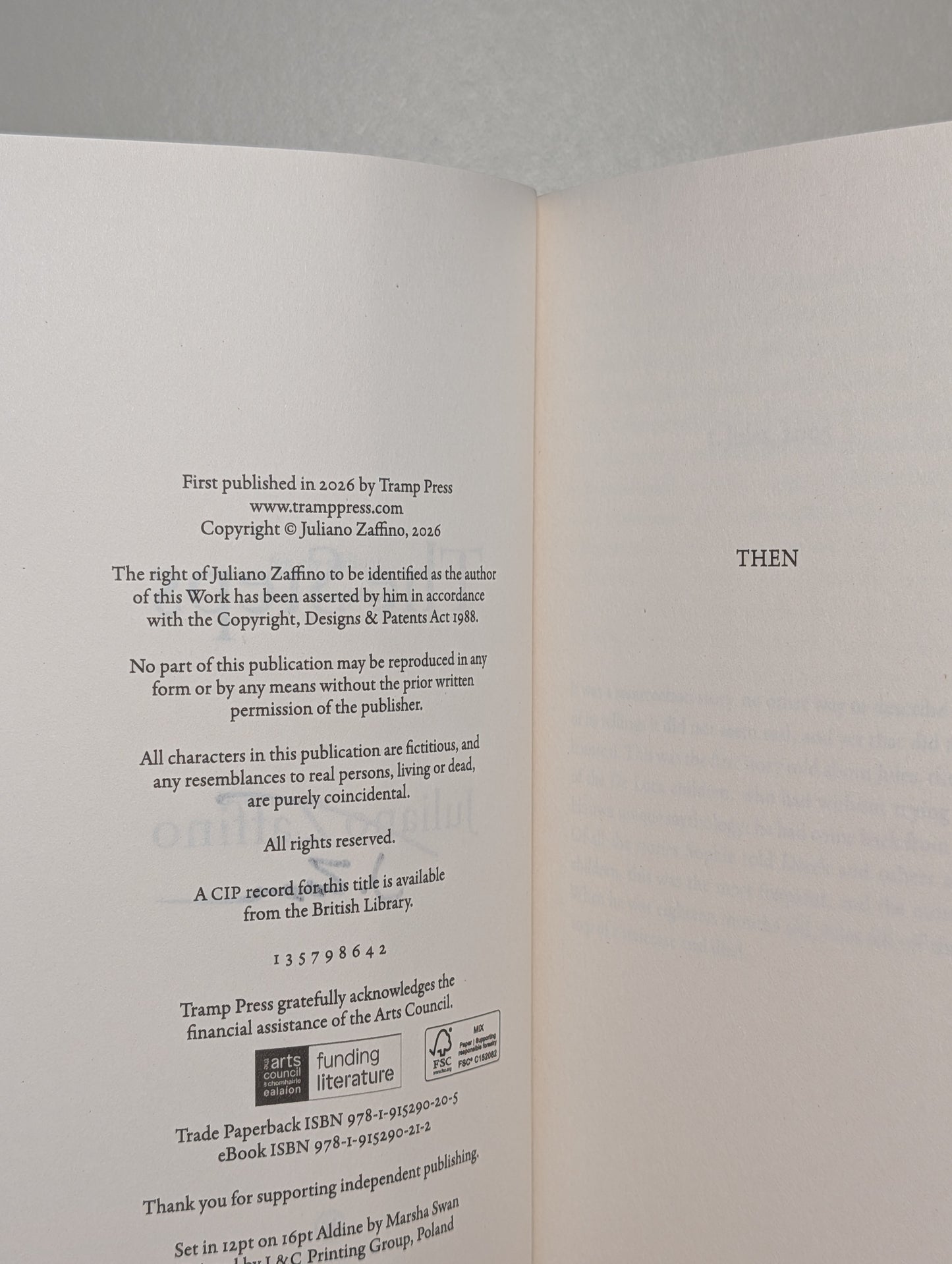 The Steps by Juliano Zaffino (Signed First Edition)