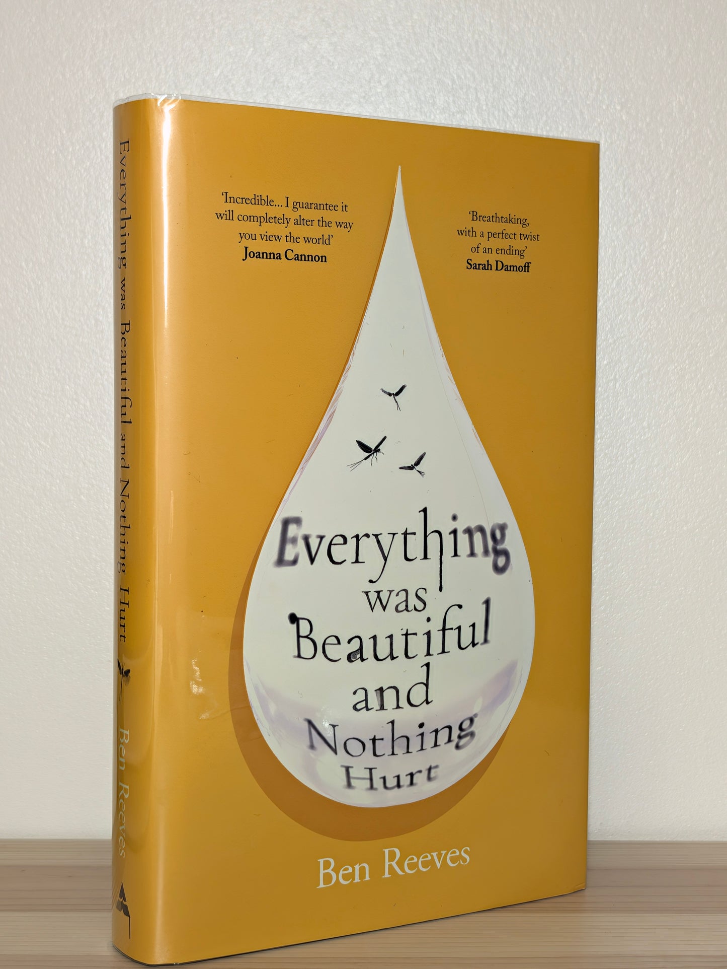 Everything was Beautiful and Nothing Hurt by Ben Reeves (Signed First Edition)