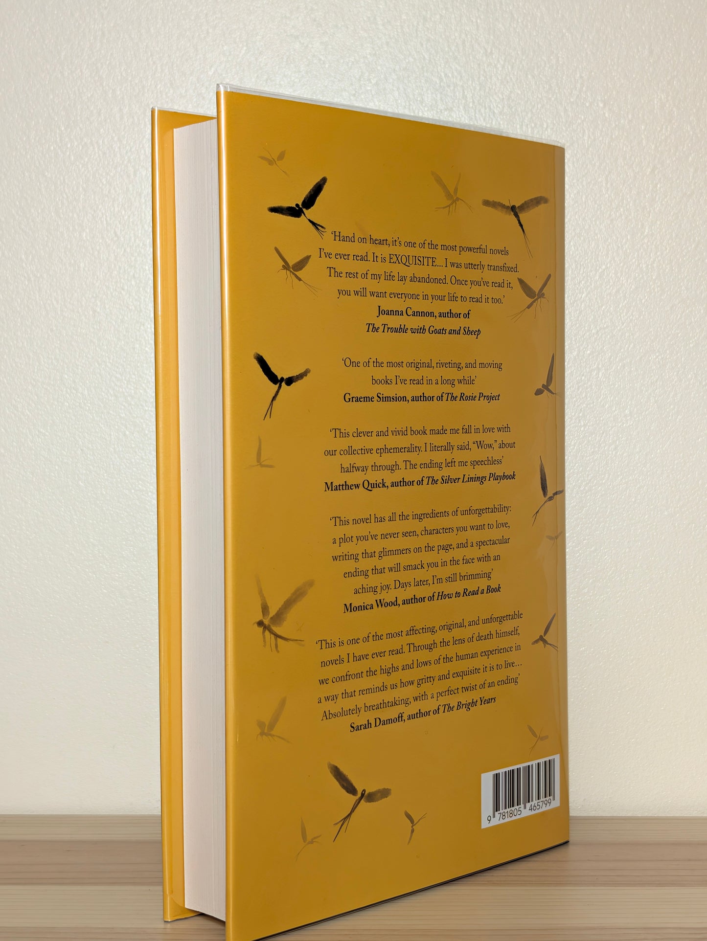 Everything was Beautiful and Nothing Hurt by Ben Reeves (Signed First Edition)