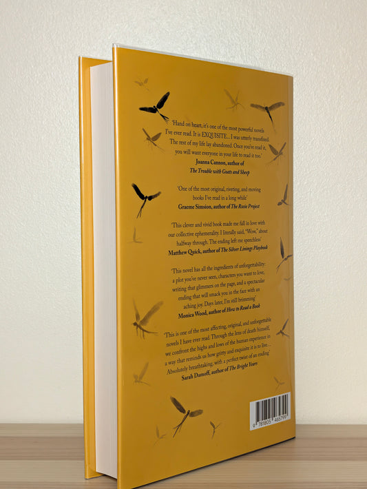 Everything was Beautiful and Nothing Hurt by Ben Reeves (Signed First Edition)