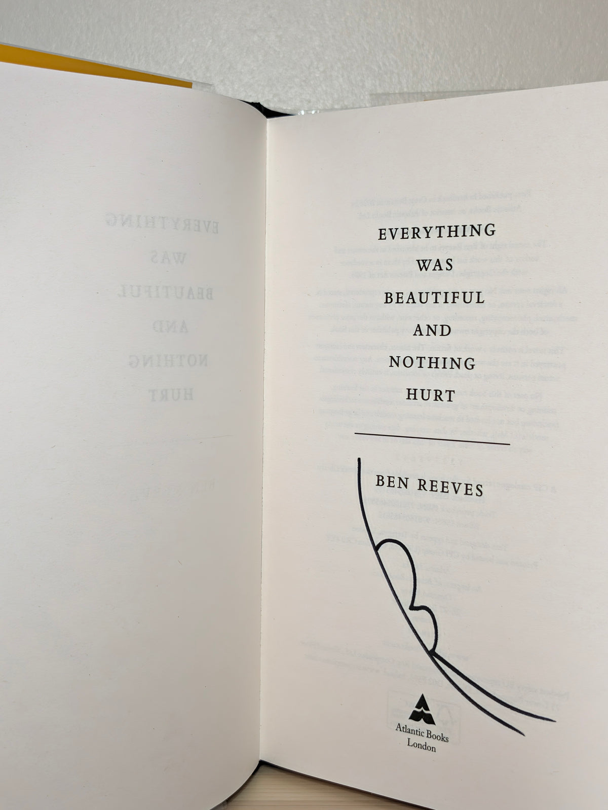 Everything was Beautiful and Nothing Hurt by Ben Reeves (Signed First Edition)