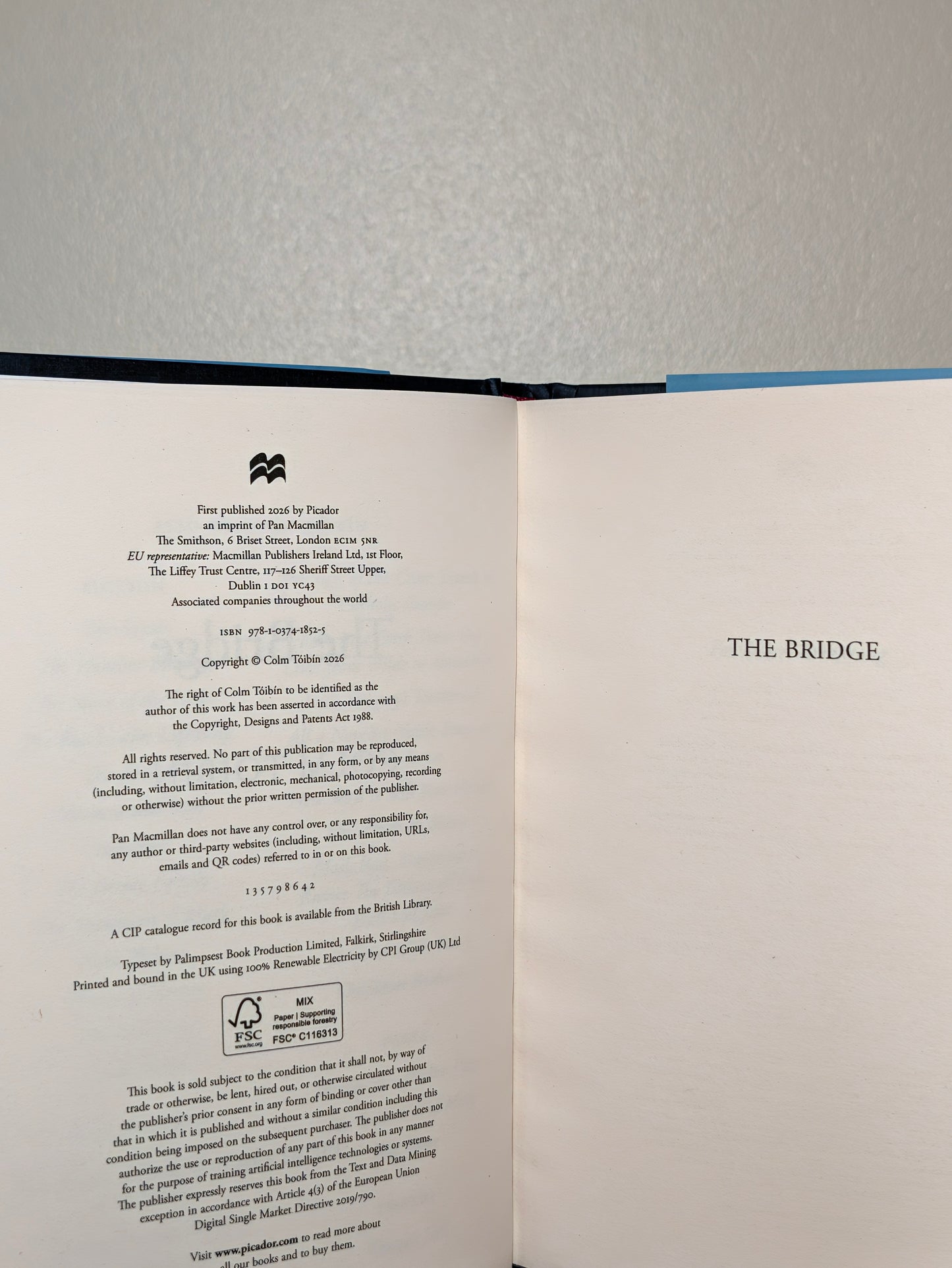 The Bridge by Colm Toibin (Signed First Edition)