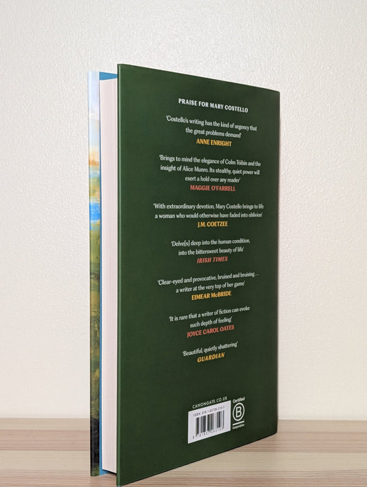 A Beautiful Loan by Mary Costello (Signed First Edition) - Fialta Books