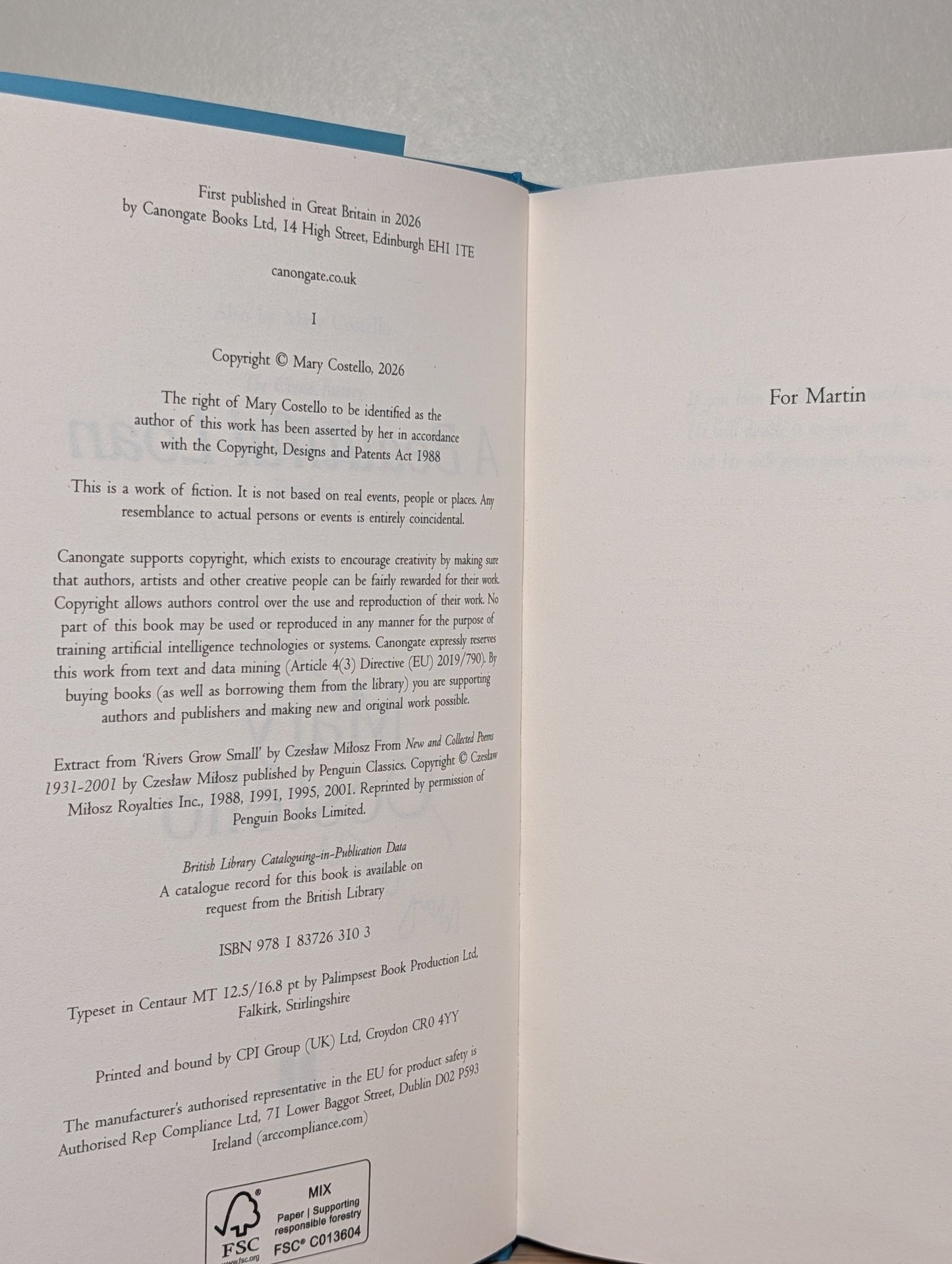 A Beautiful Loan by Mary Costello (Signed First Edition) - Fialta Books