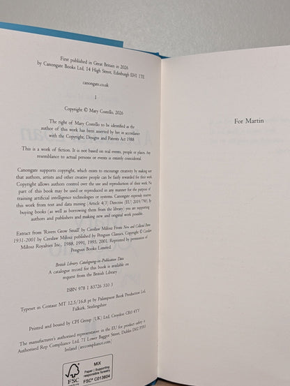 A Beautiful Loan by Mary Costello (Signed First Edition) - Fialta Books