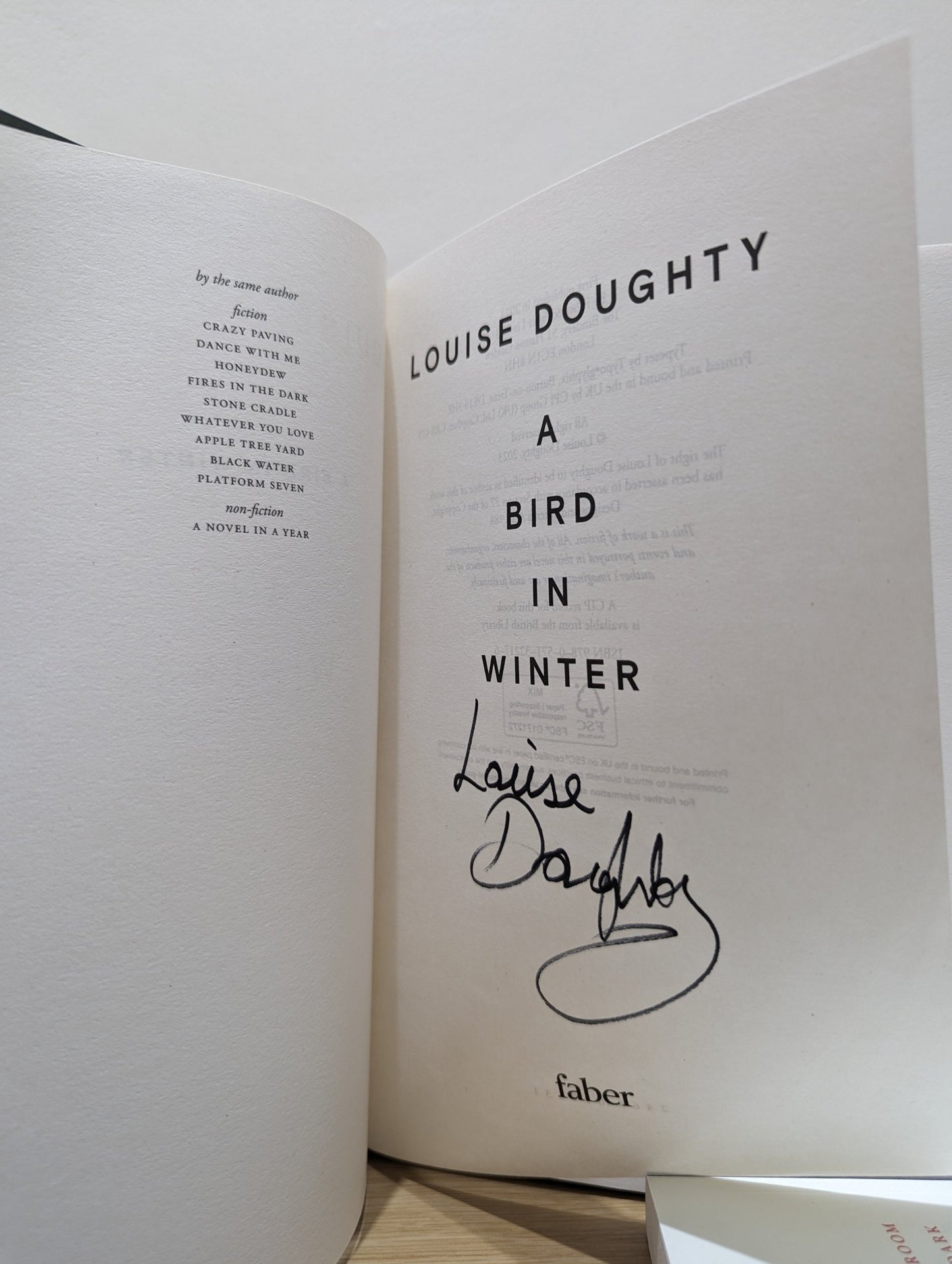 A Bird in Winter by Louise Doughty (Signed First Edition) - Fialta Books