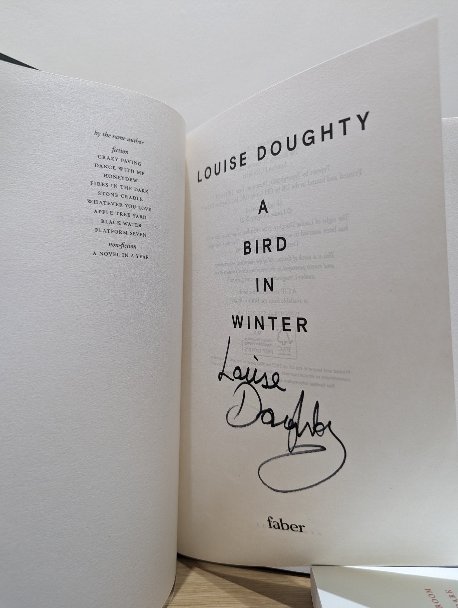 A Bird in Winter by Louise Doughty (Signed First Edition) - Fialta Books