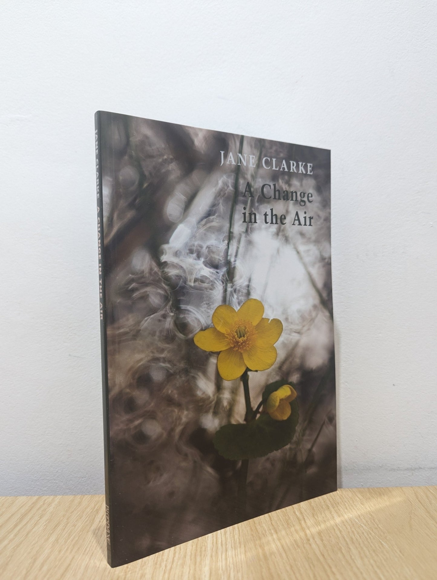 A Change in the Air by Jane Clarke (First Edition) - Fialta Books