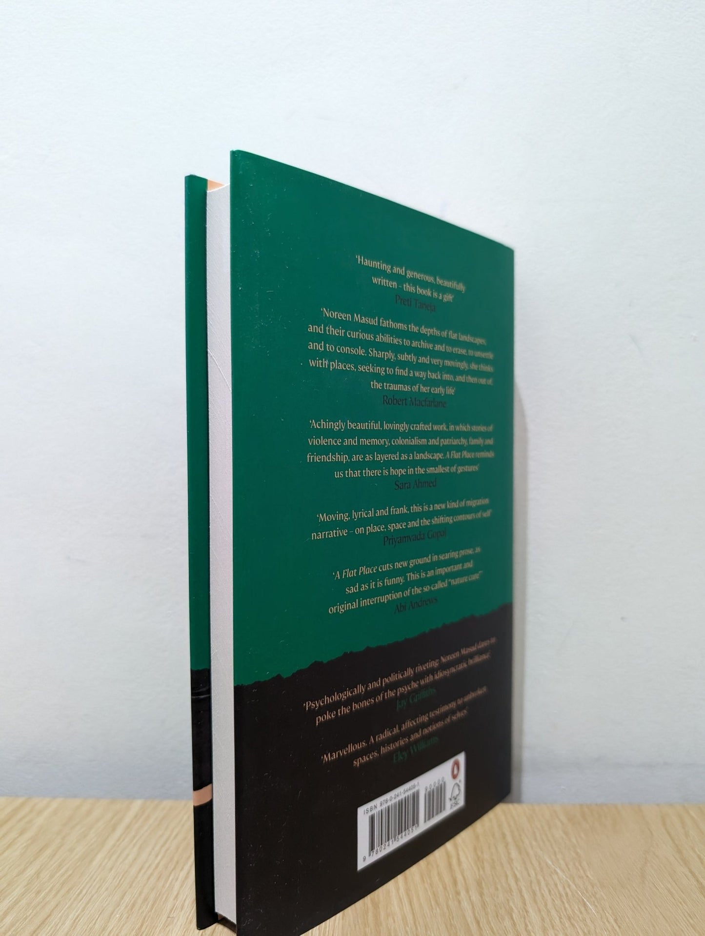 A Flat Place by Noreen Masud (First Edition) - Fialta Books