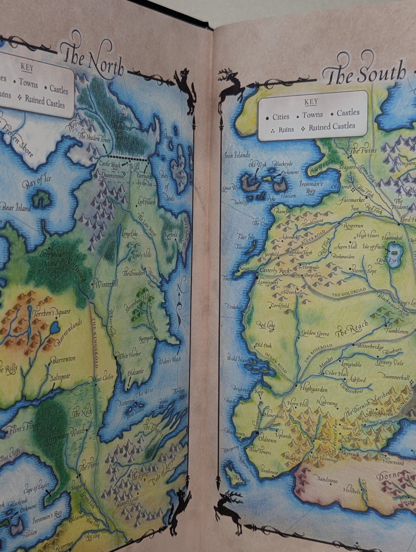 A Game of Thrones by George R.R. Martin (Signed Anniversary Illustrated Edition) - Fialta Books