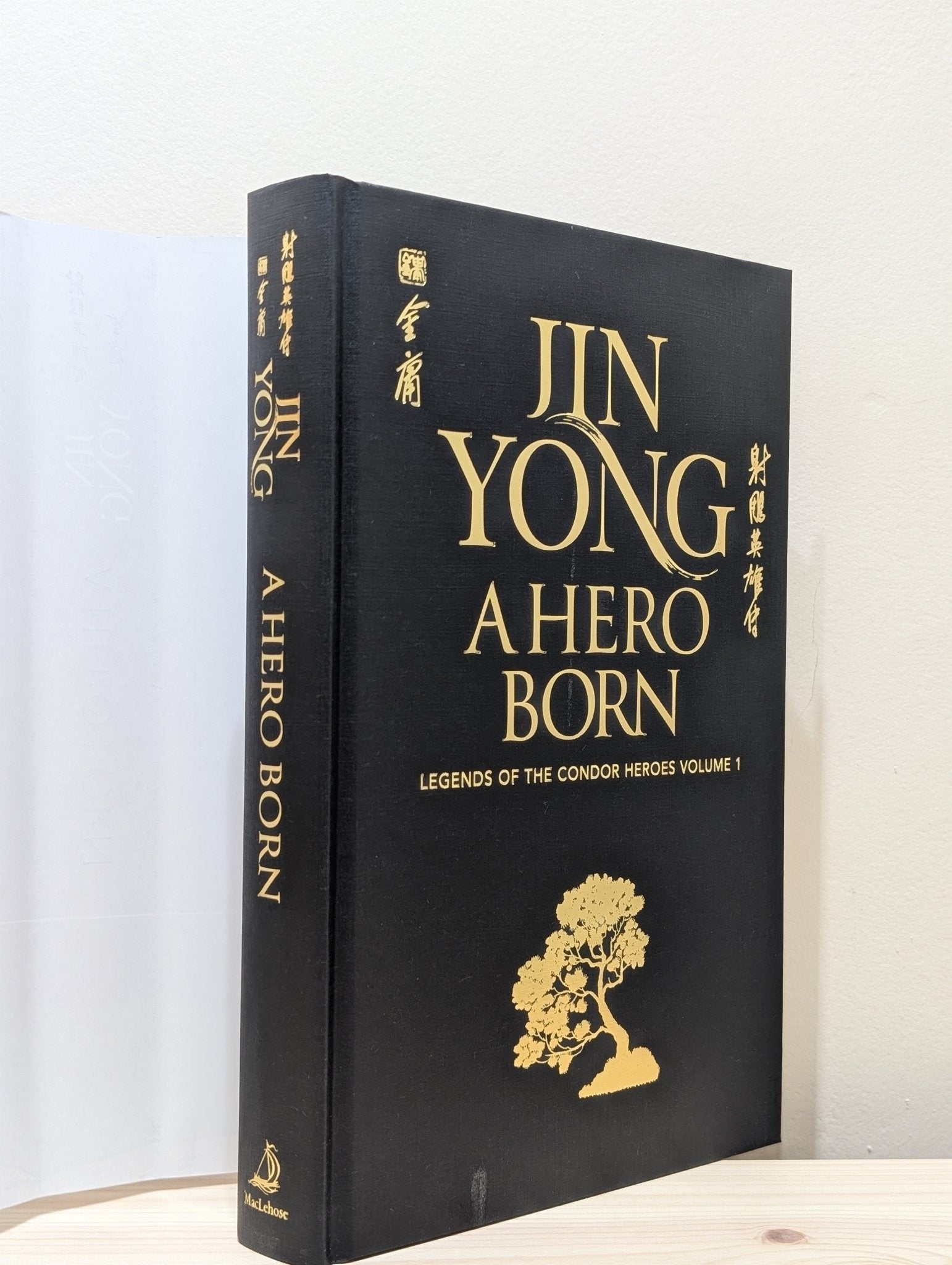 A Hero Born: Legends of the Condor Heroes book 1 by Jin Yong (Special Edition with sprayed edges) - Fialta Books