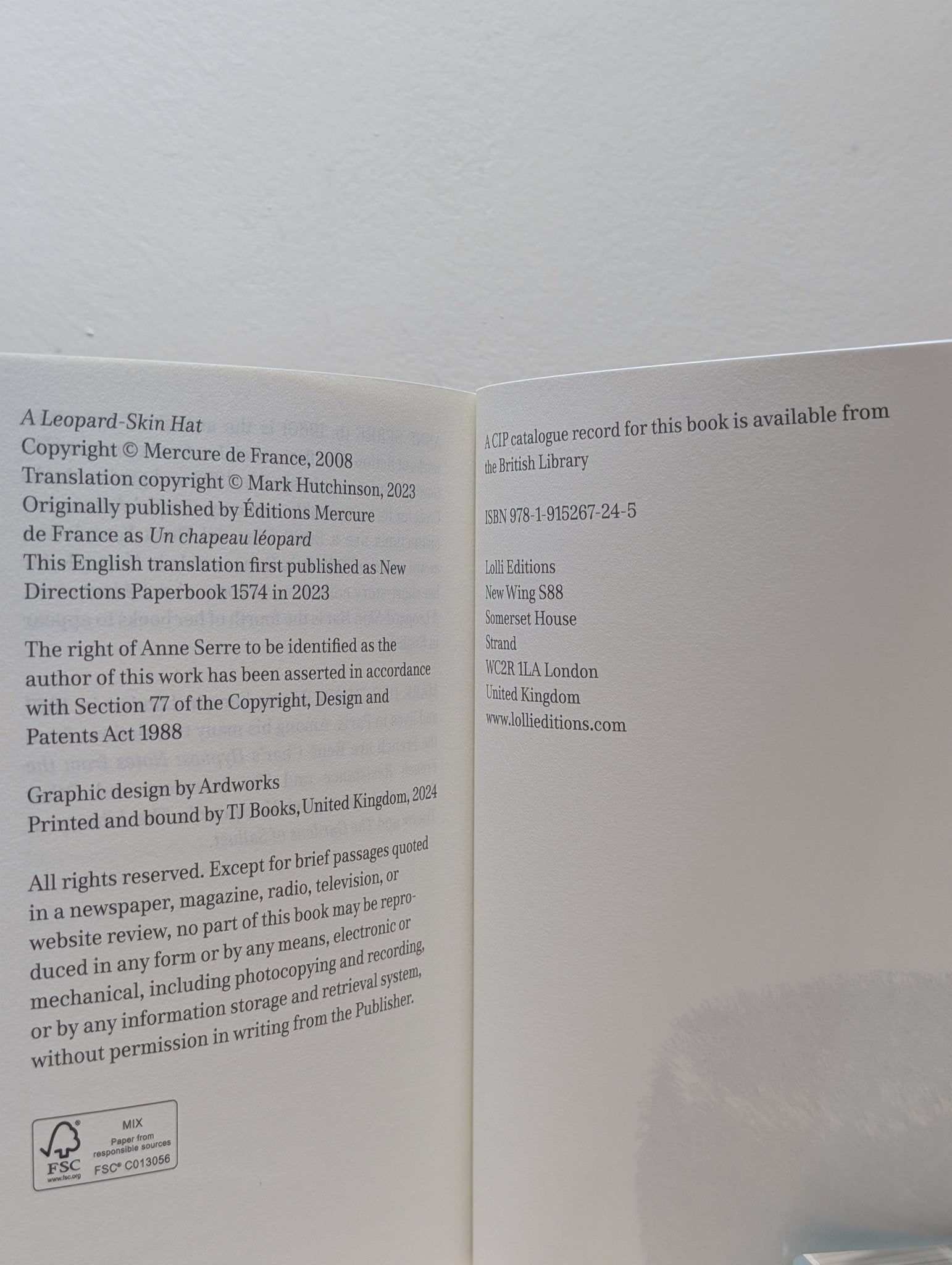 A Leopard - Skin Hat by Anne Serre (First Edition) - Fialta Books