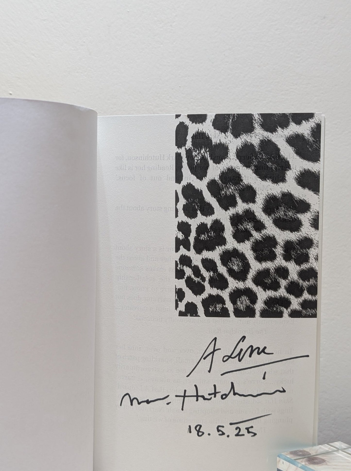 A Leopard - Skin Hat by Anne Serre (Signed First Edition) - Fialta Books