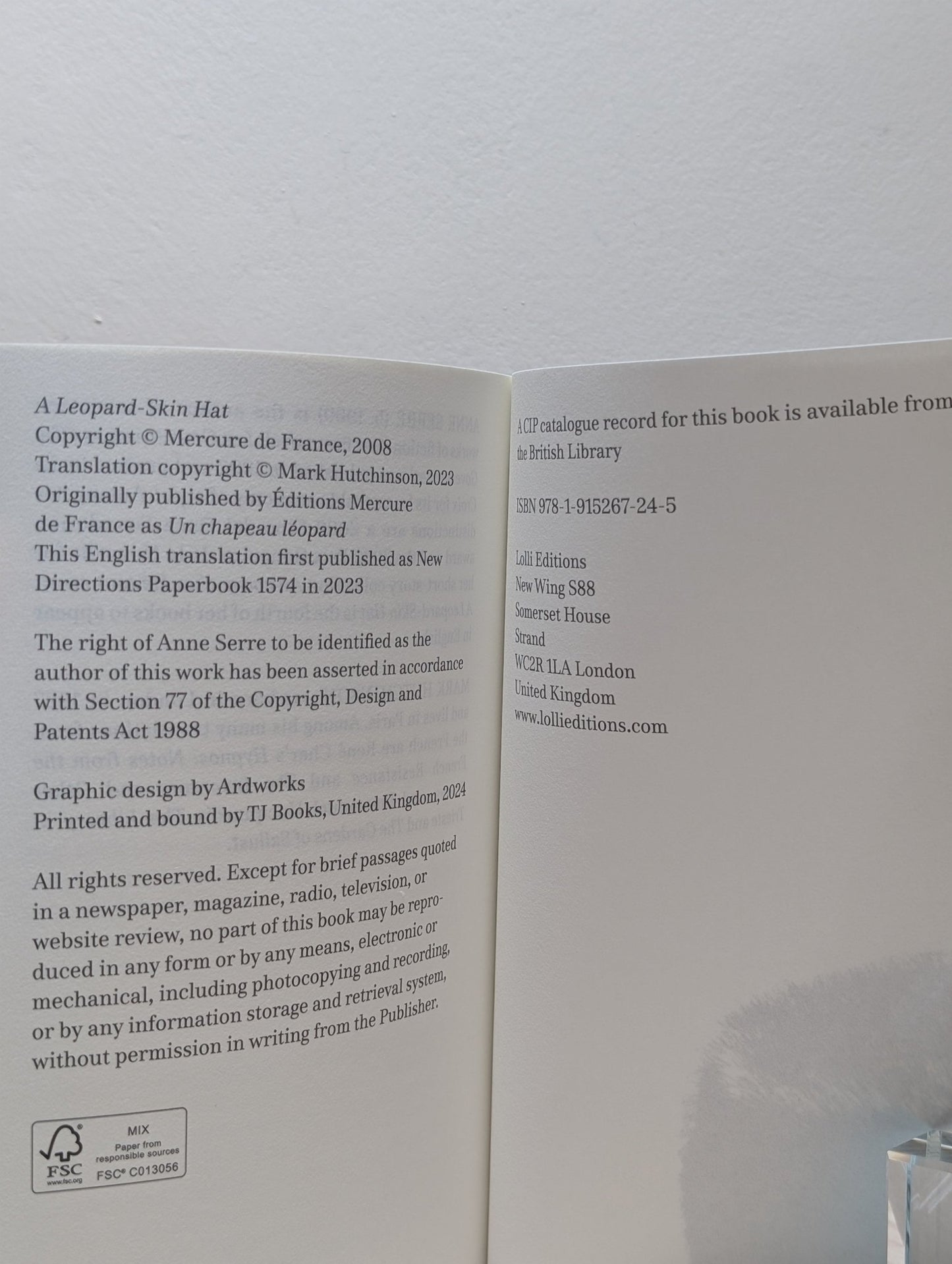 A Leopard - Skin Hat by Anne Serre (Signed First Edition) - Fialta Books