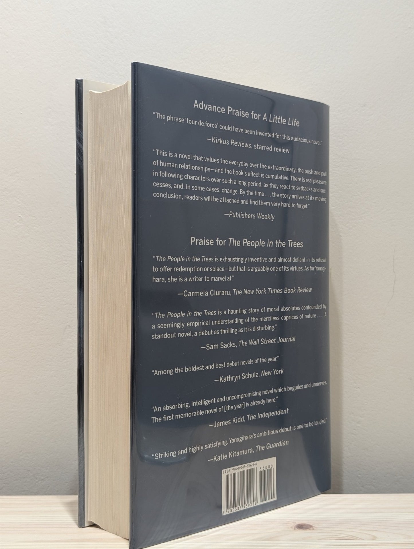 A Little Life: A Novel by Hanya Yanagihara (Signed First Edition) - Fialta Books
