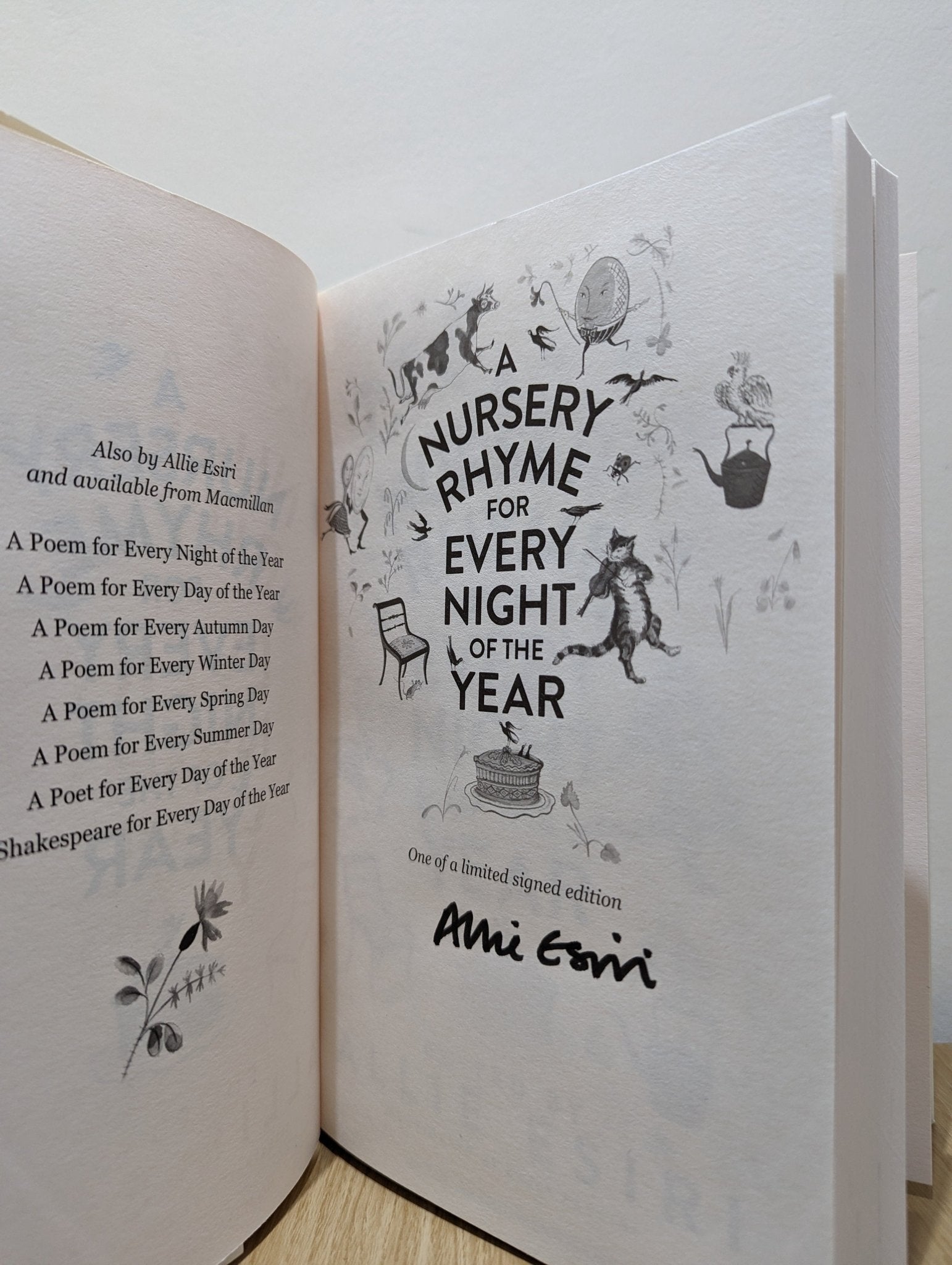 A Nursery Rhyme for Every Night of the Year by Allie Esiri (Signed First Edition) - Fialta Books
