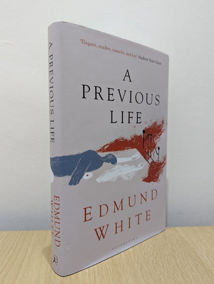 A Previous Life by Edmund White (First Edition) - Fialta Books