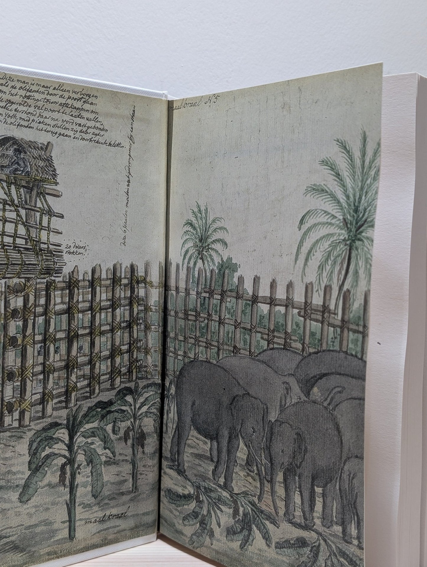 A Training School for Elephants by Sophy Roberts (Signed First Edition) - Fialta Books