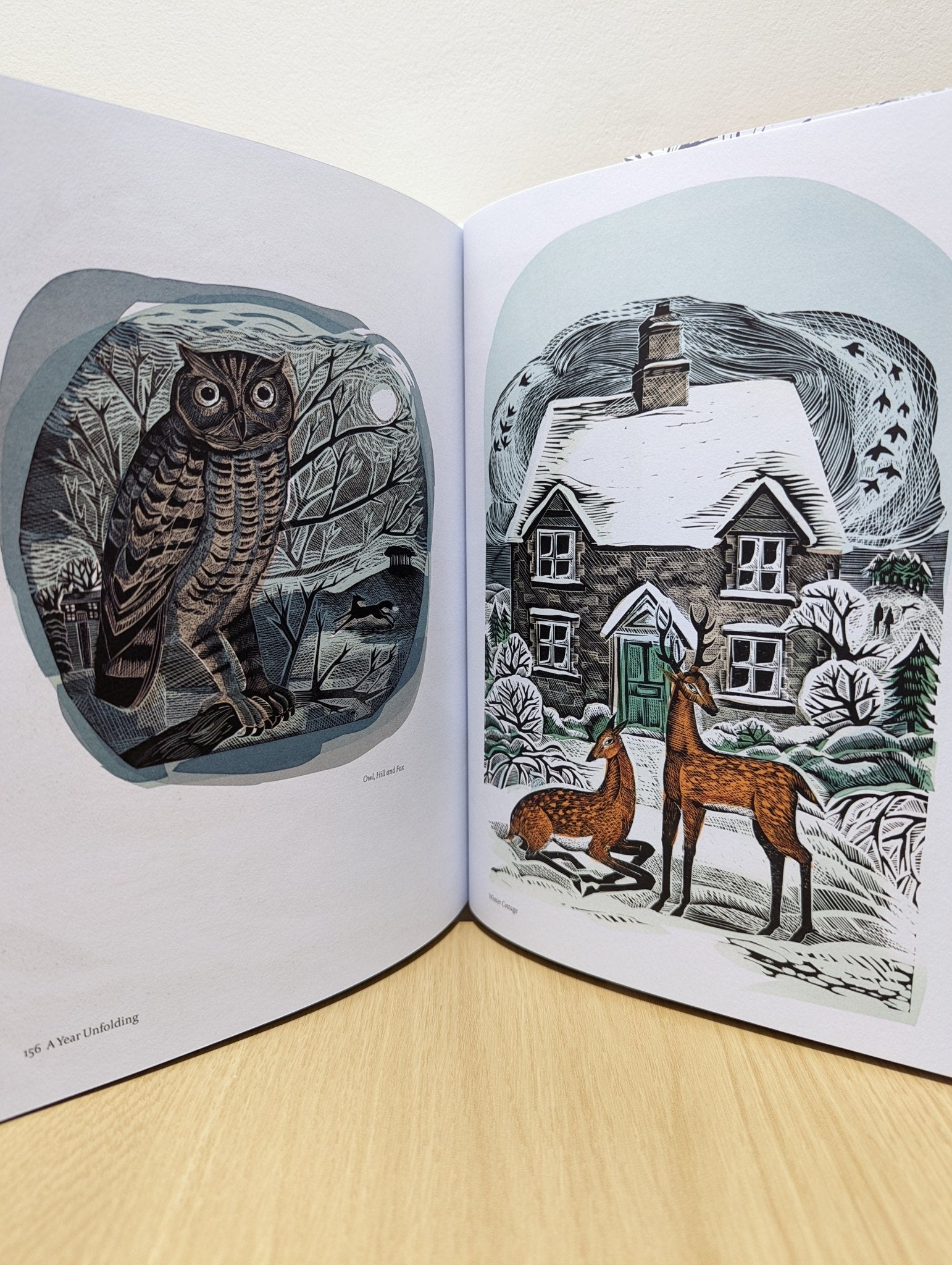 A Year Unfolding: A Printmaker's View by Angela Harding (Signed First Edition) - Fialta Books